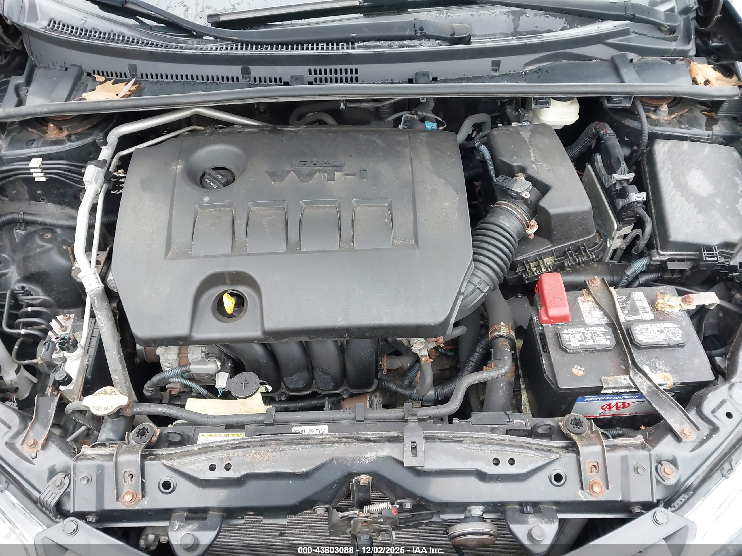 TOYOTA COROLLA image 10