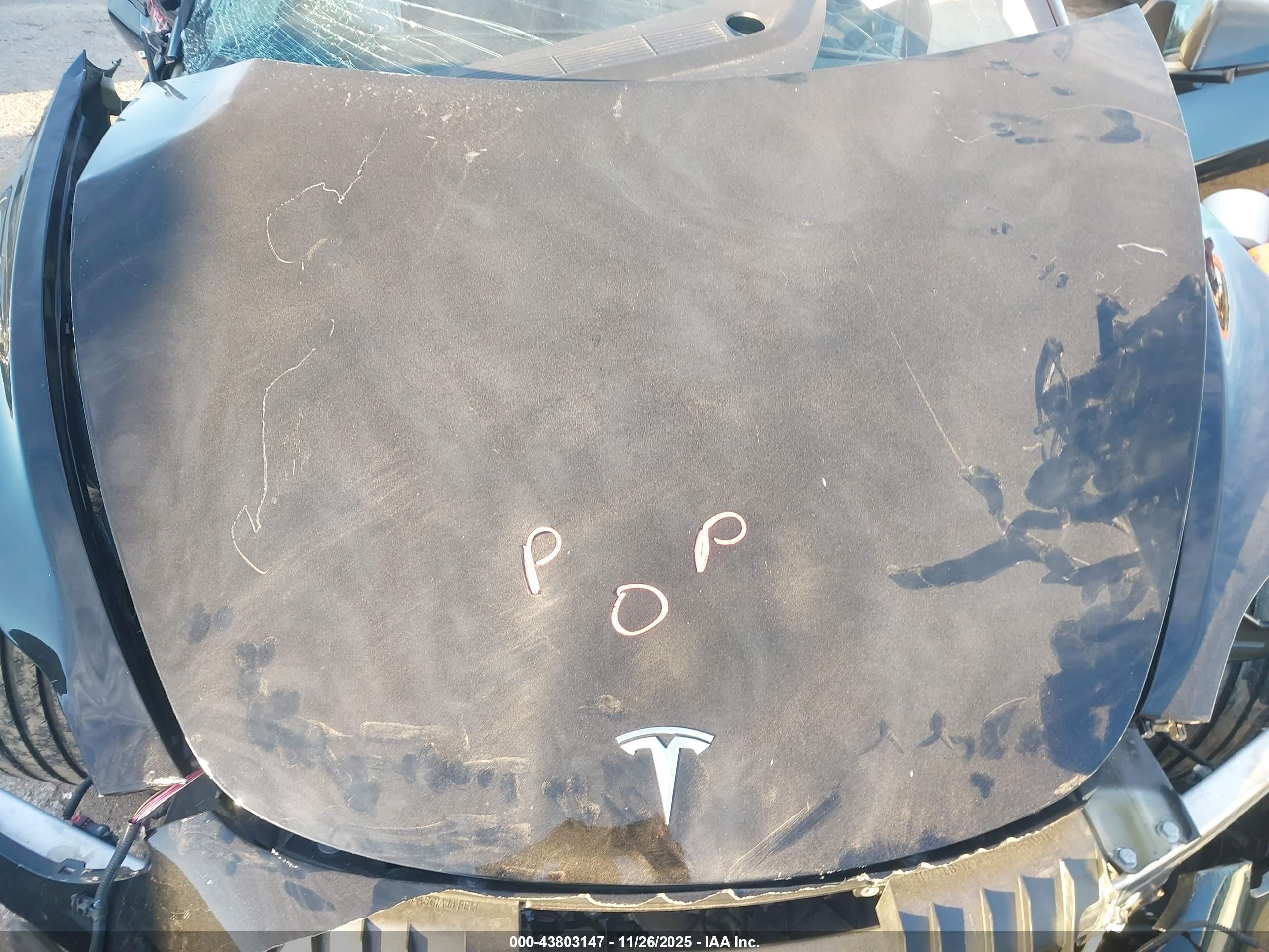 TESLA MODEL image 10
