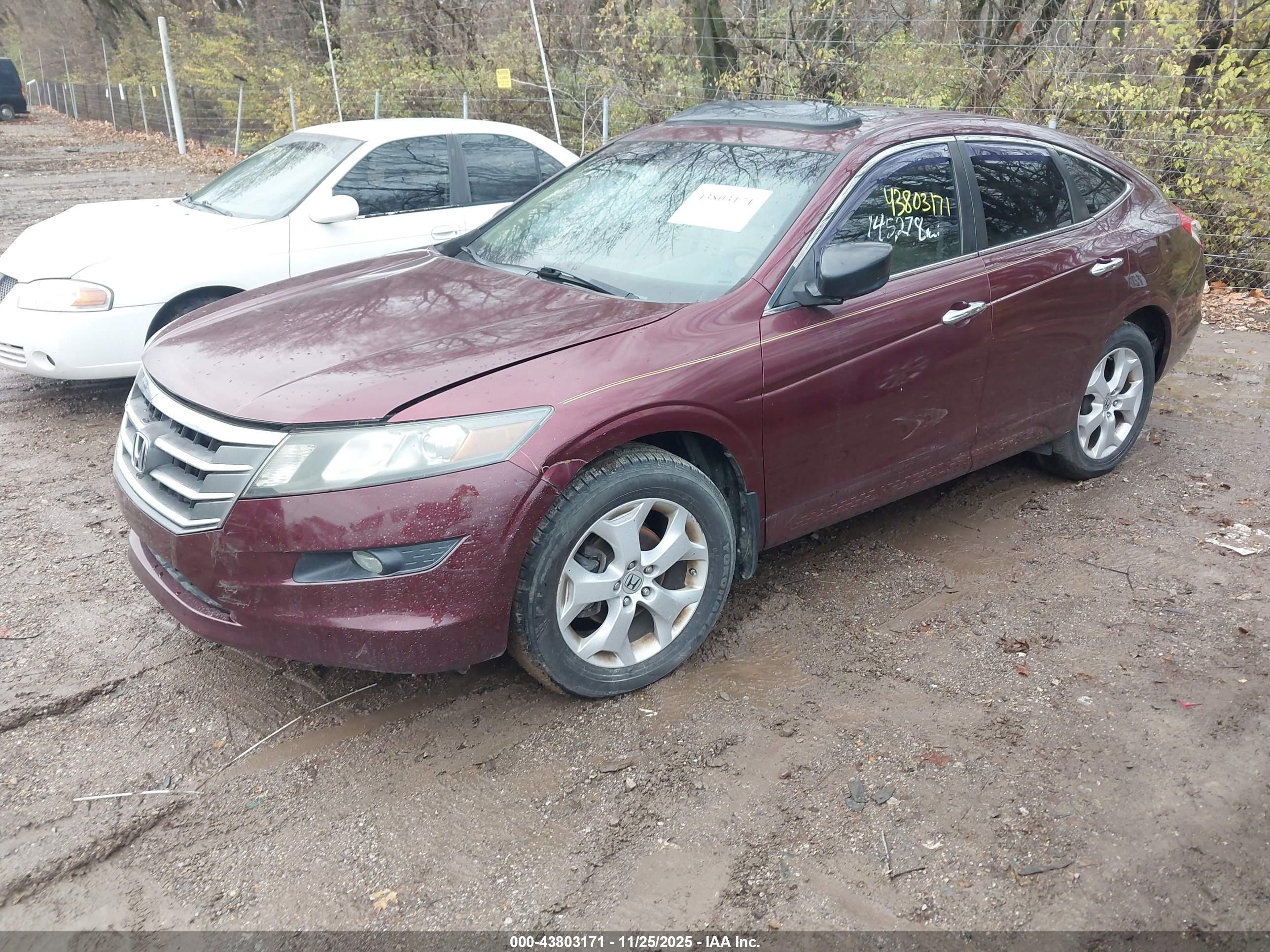 HONDA CROSSTOUR image 2