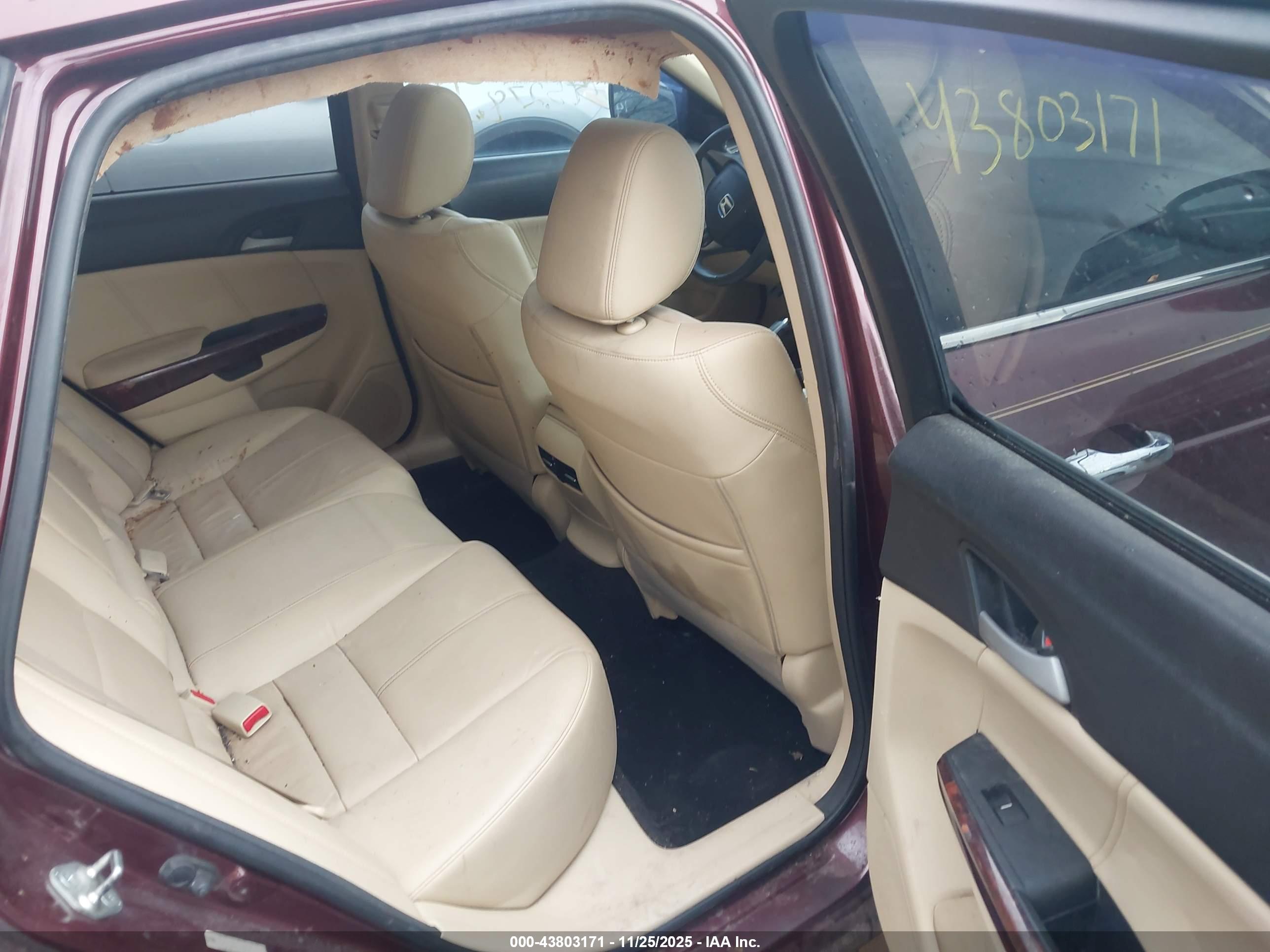 HONDA CROSSTOUR image 8