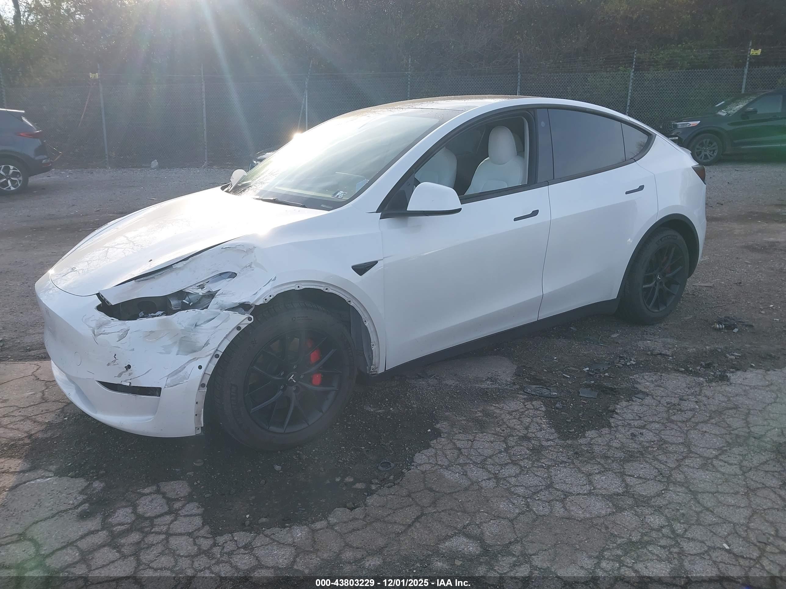 TESLA MODEL image 2