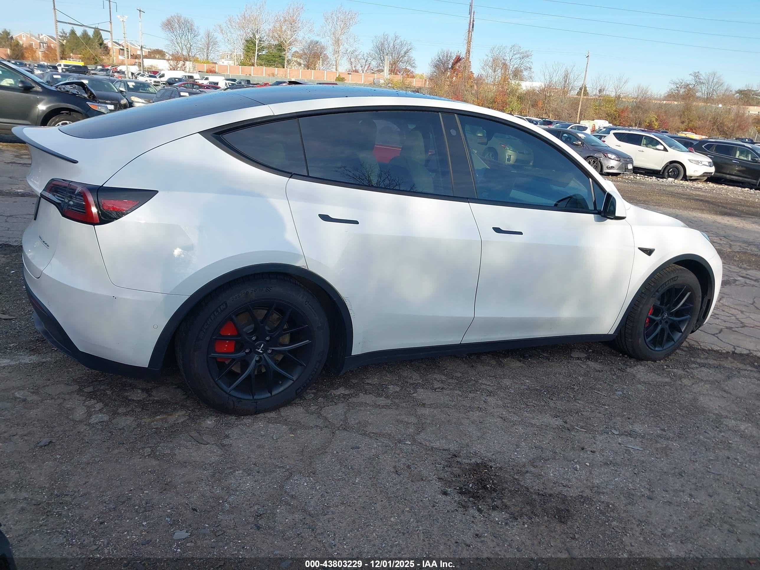 TESLA MODEL image 4