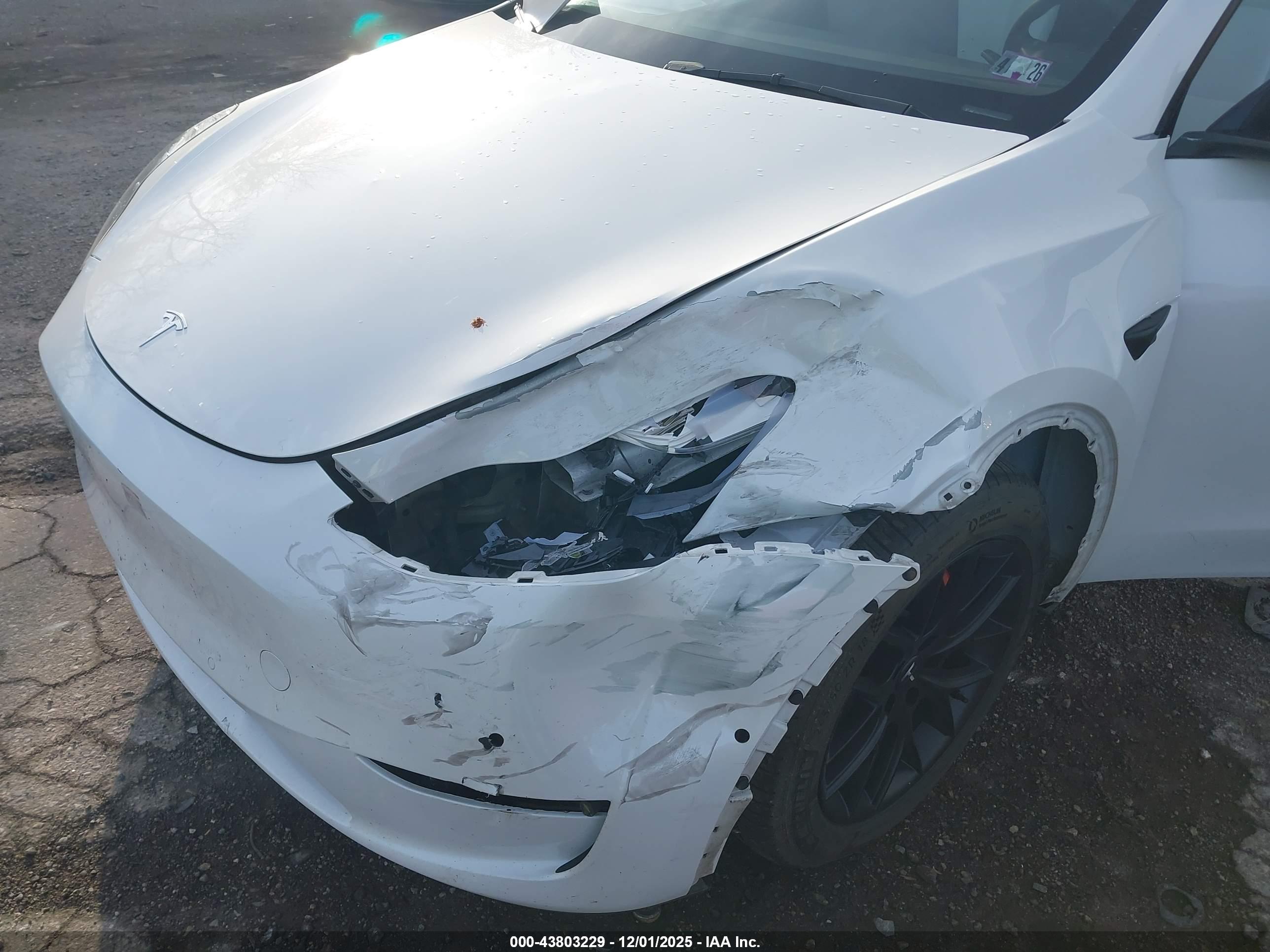 TESLA MODEL image 6