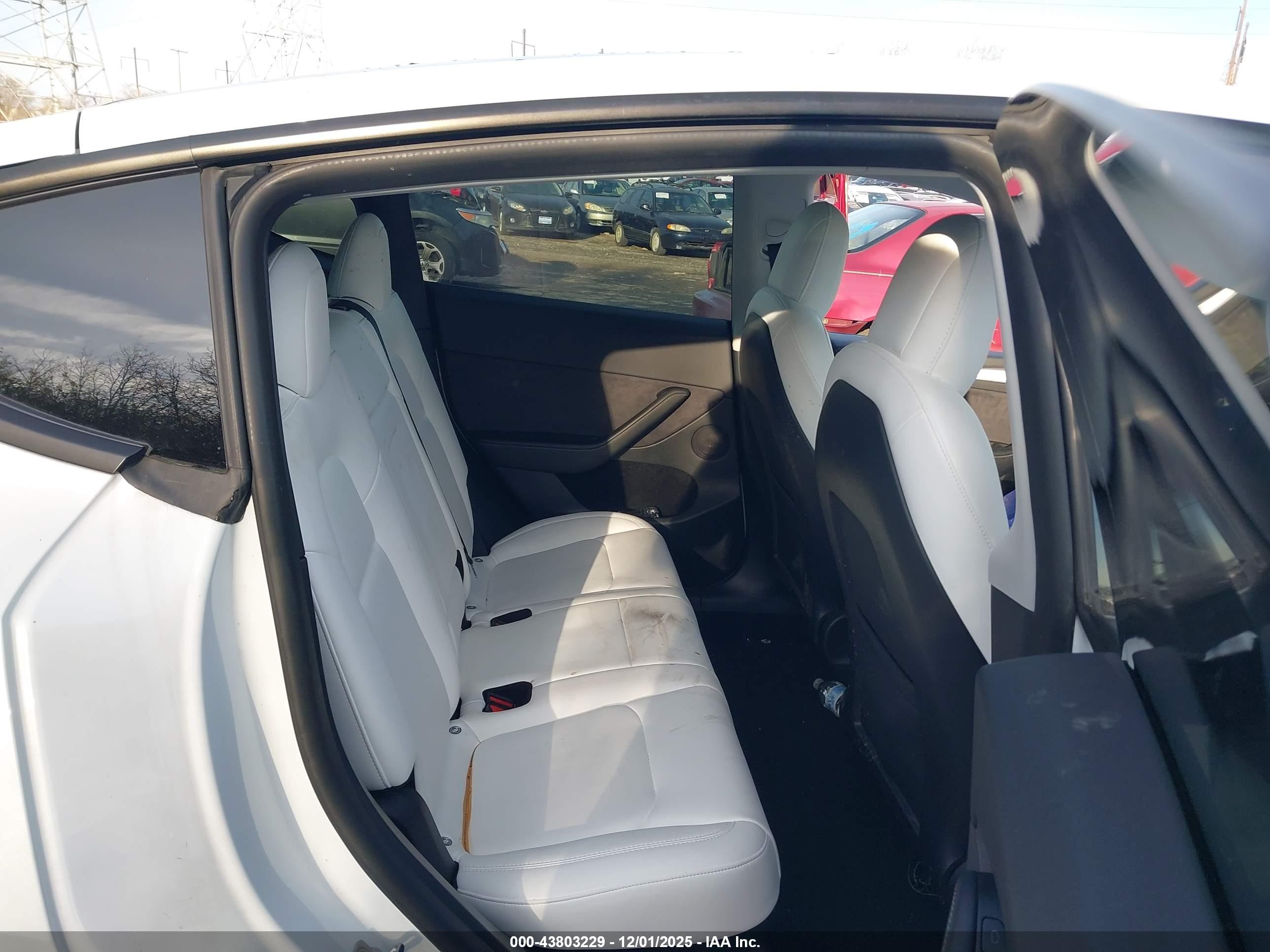 TESLA MODEL image 8
