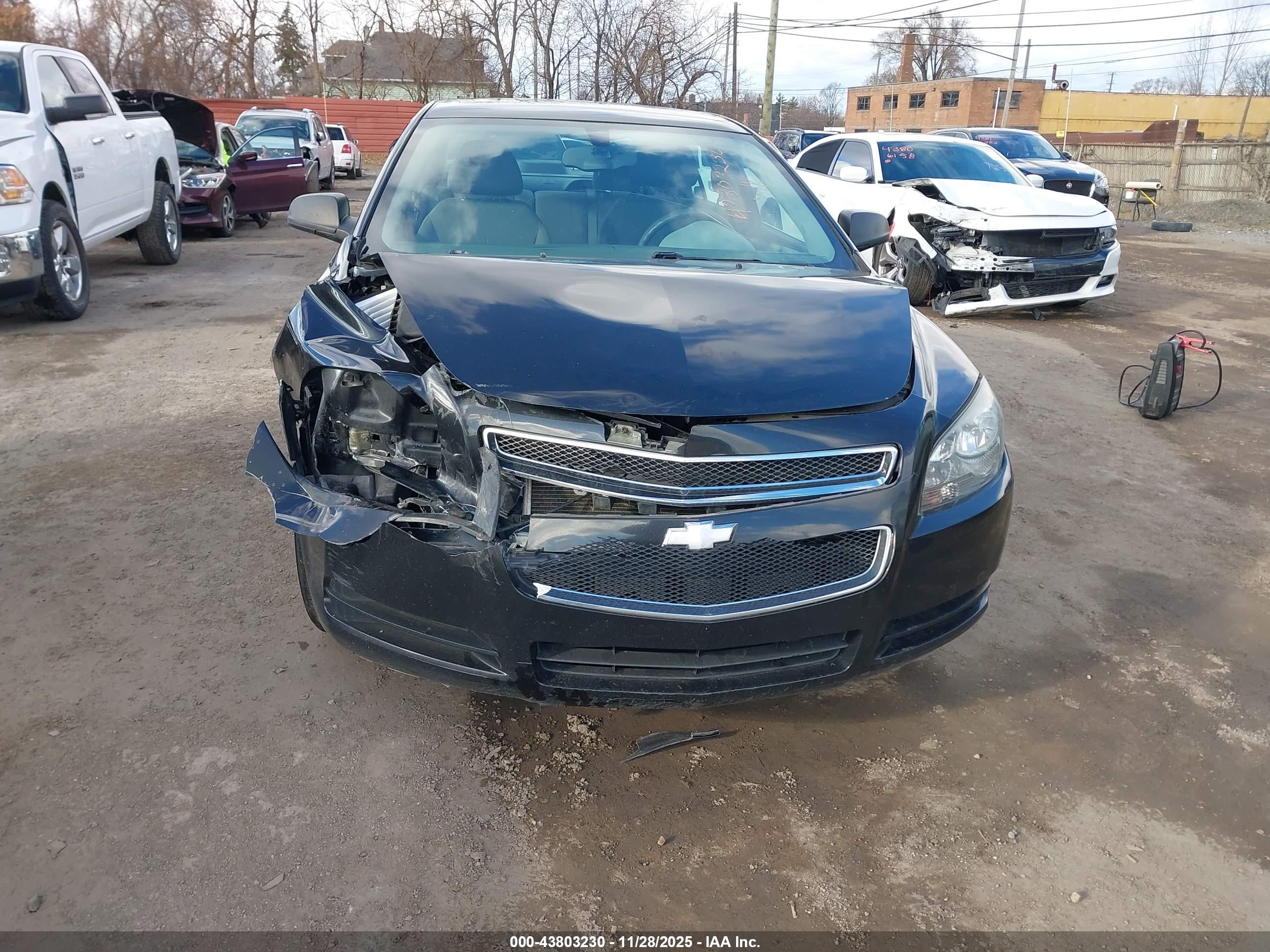 CHEVROLET MALIBU image 6