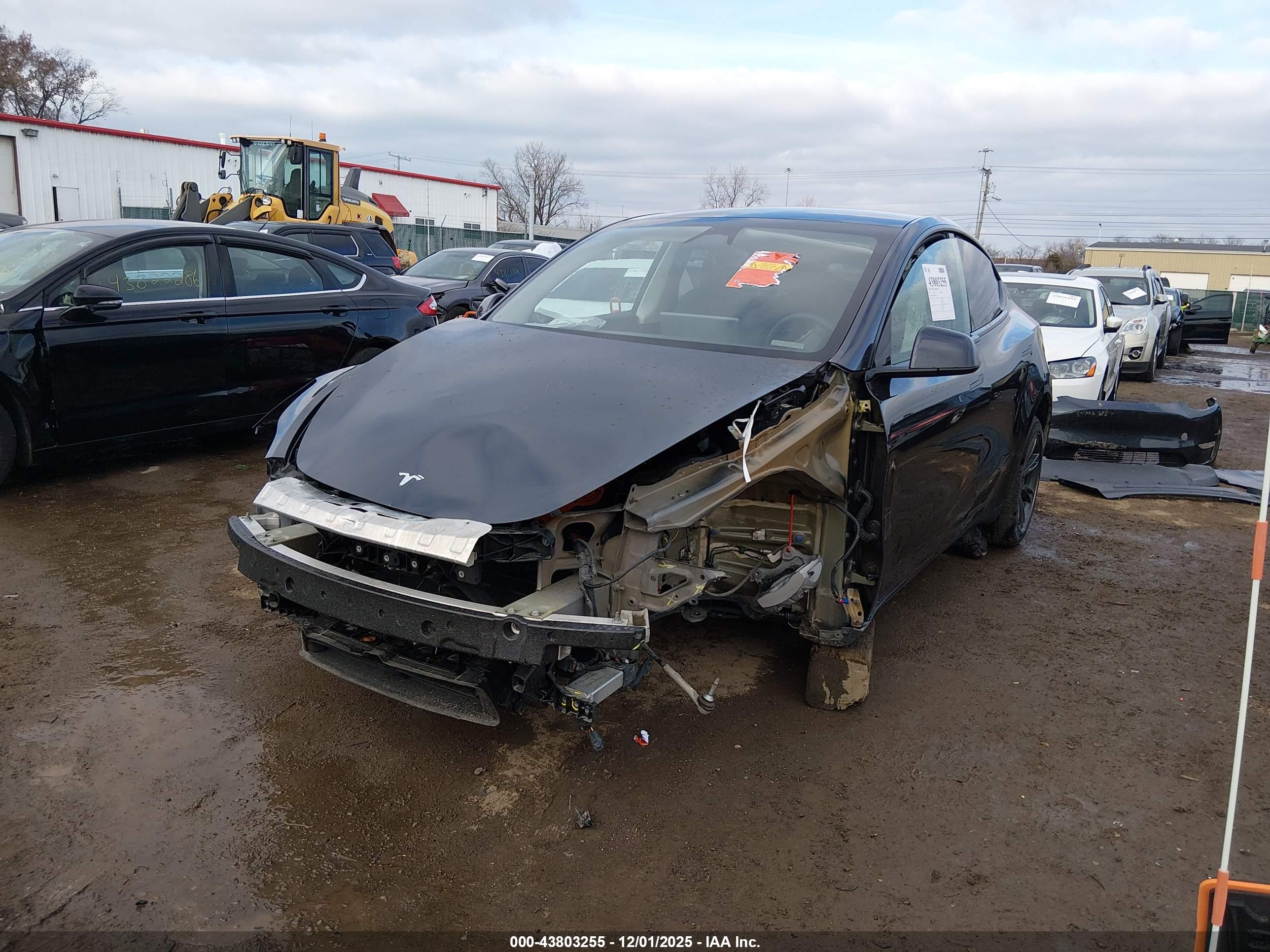 TESLA MODEL image 6