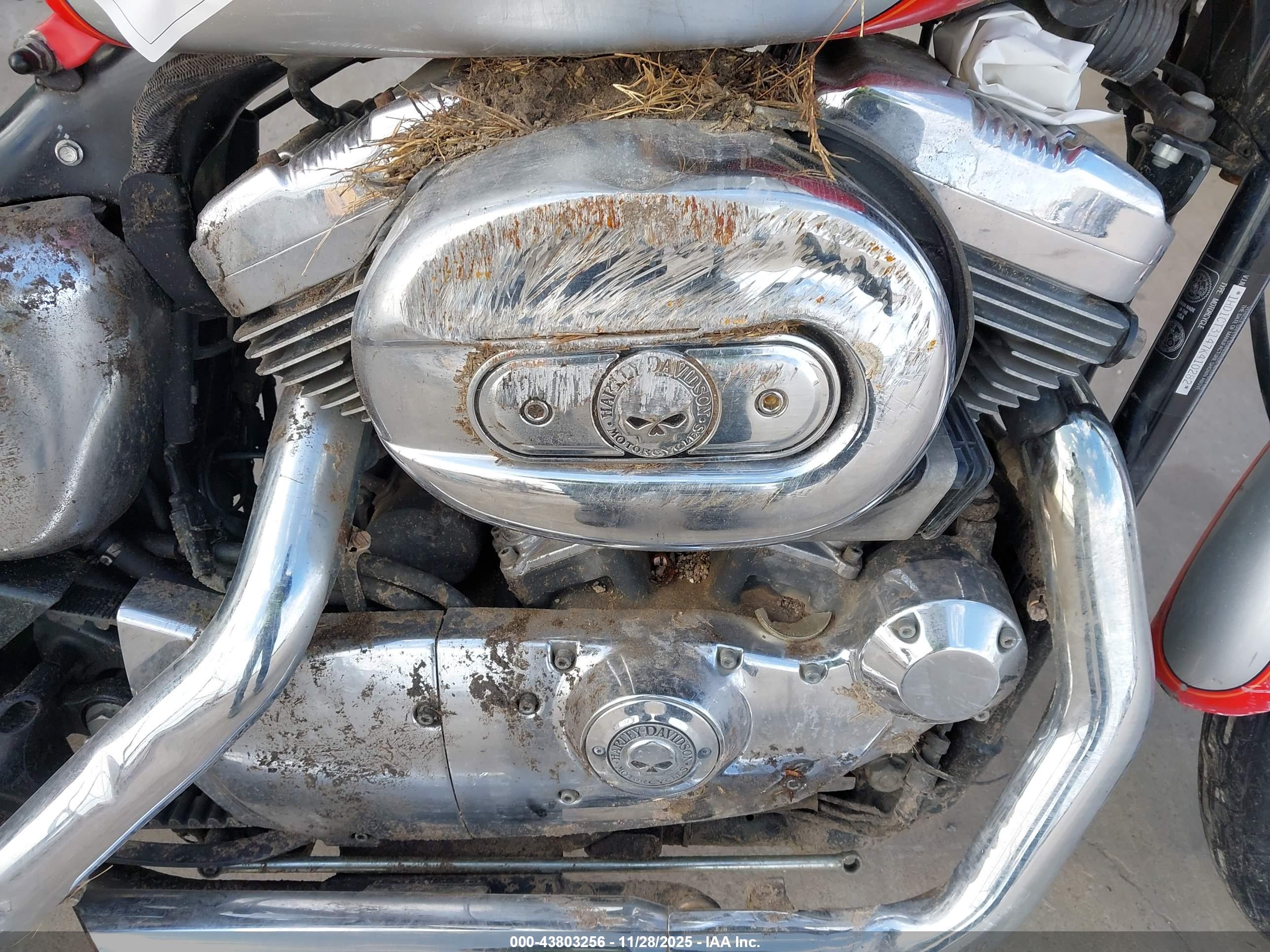 HARLEY-DAVIDSON XL1200 image 8