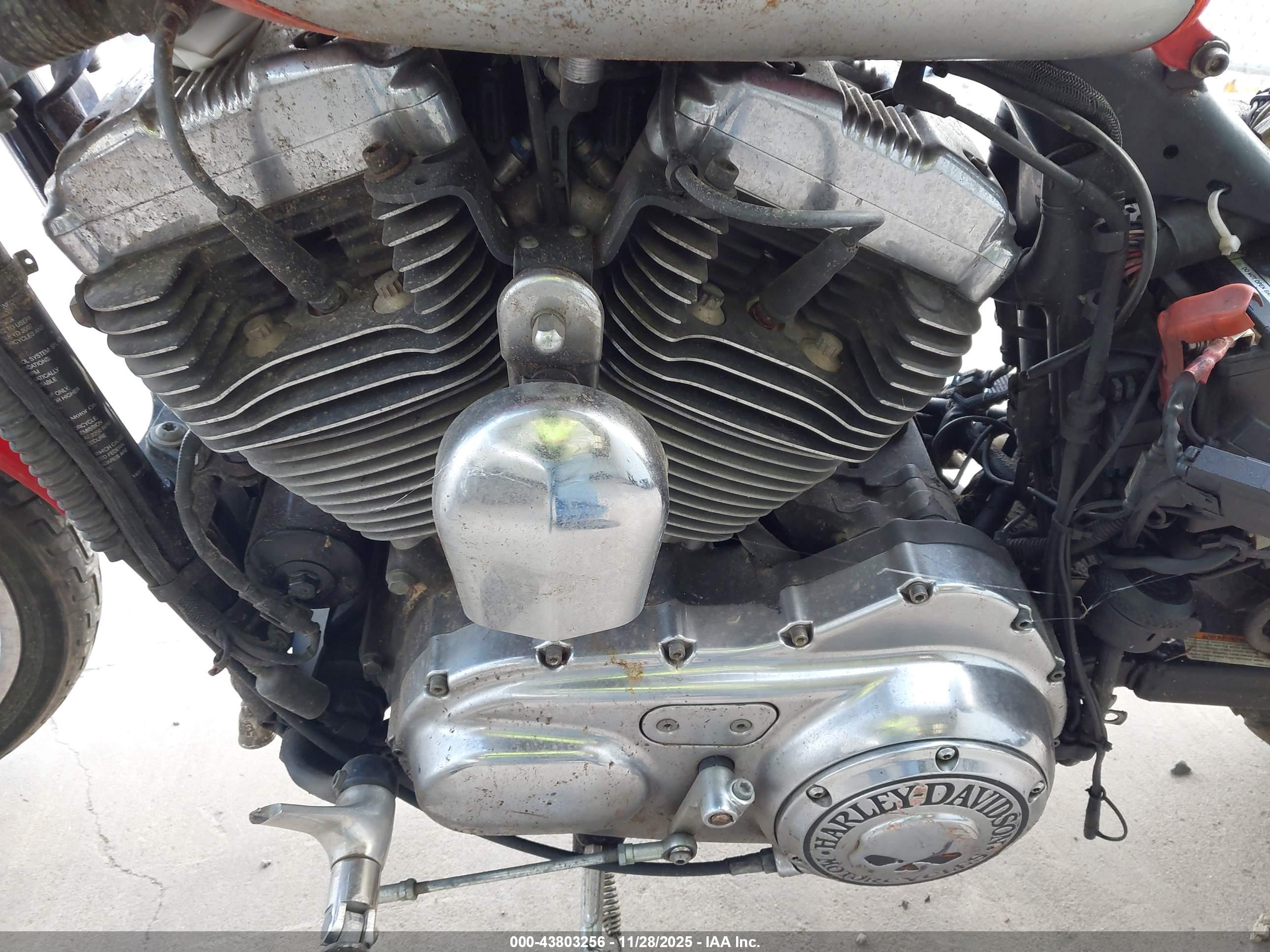 HARLEY-DAVIDSON XL1200 image 9