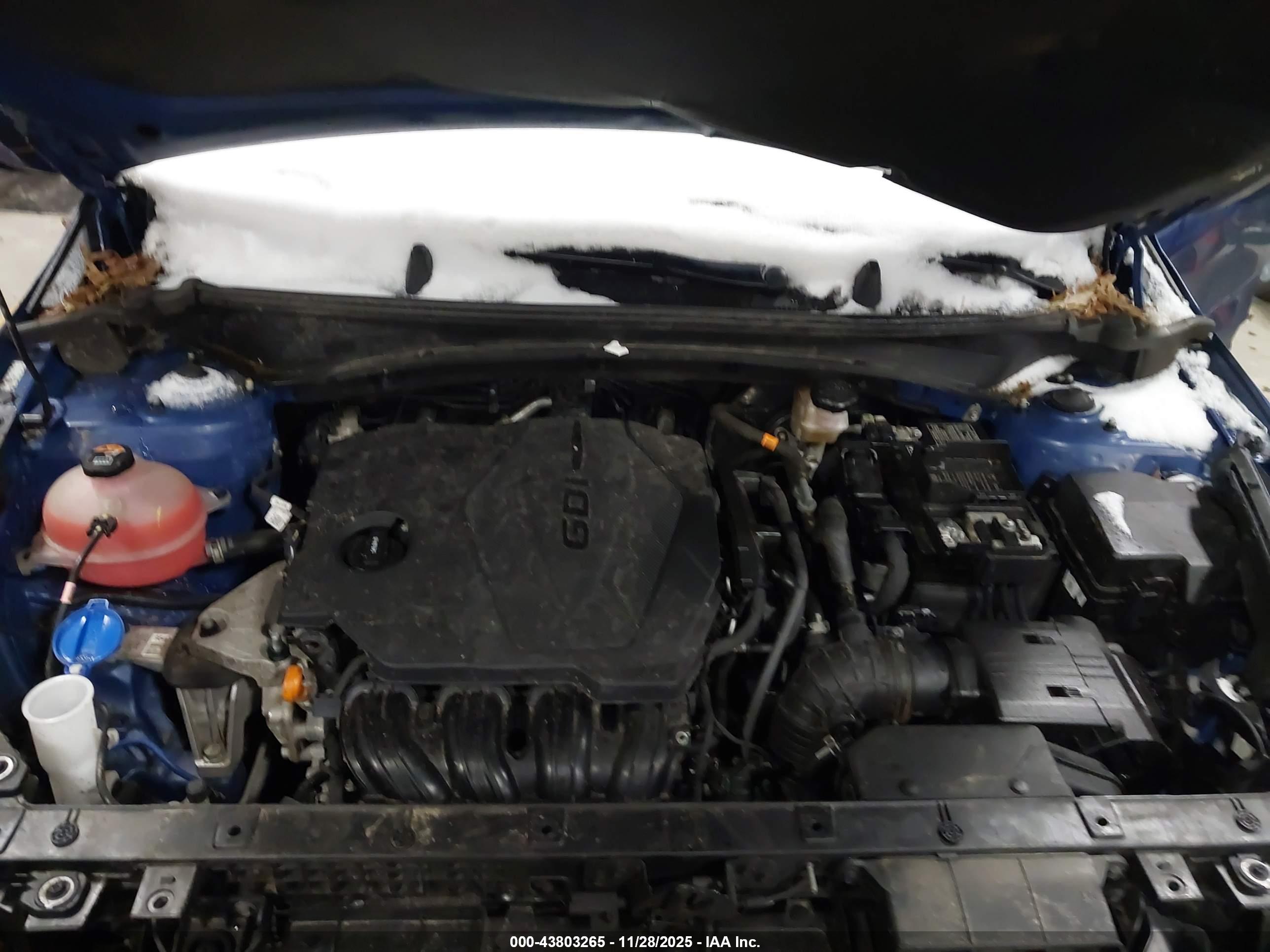KIA SPORTAGE image 10