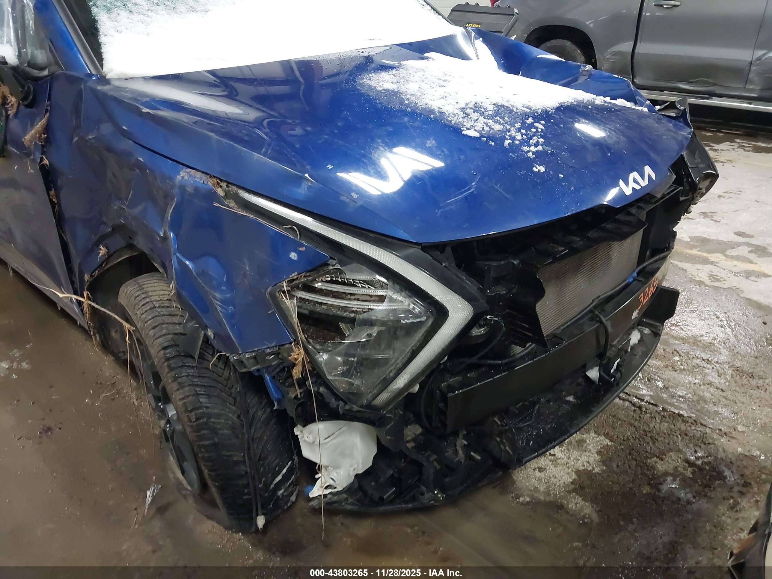 KIA SPORTAGE image 6