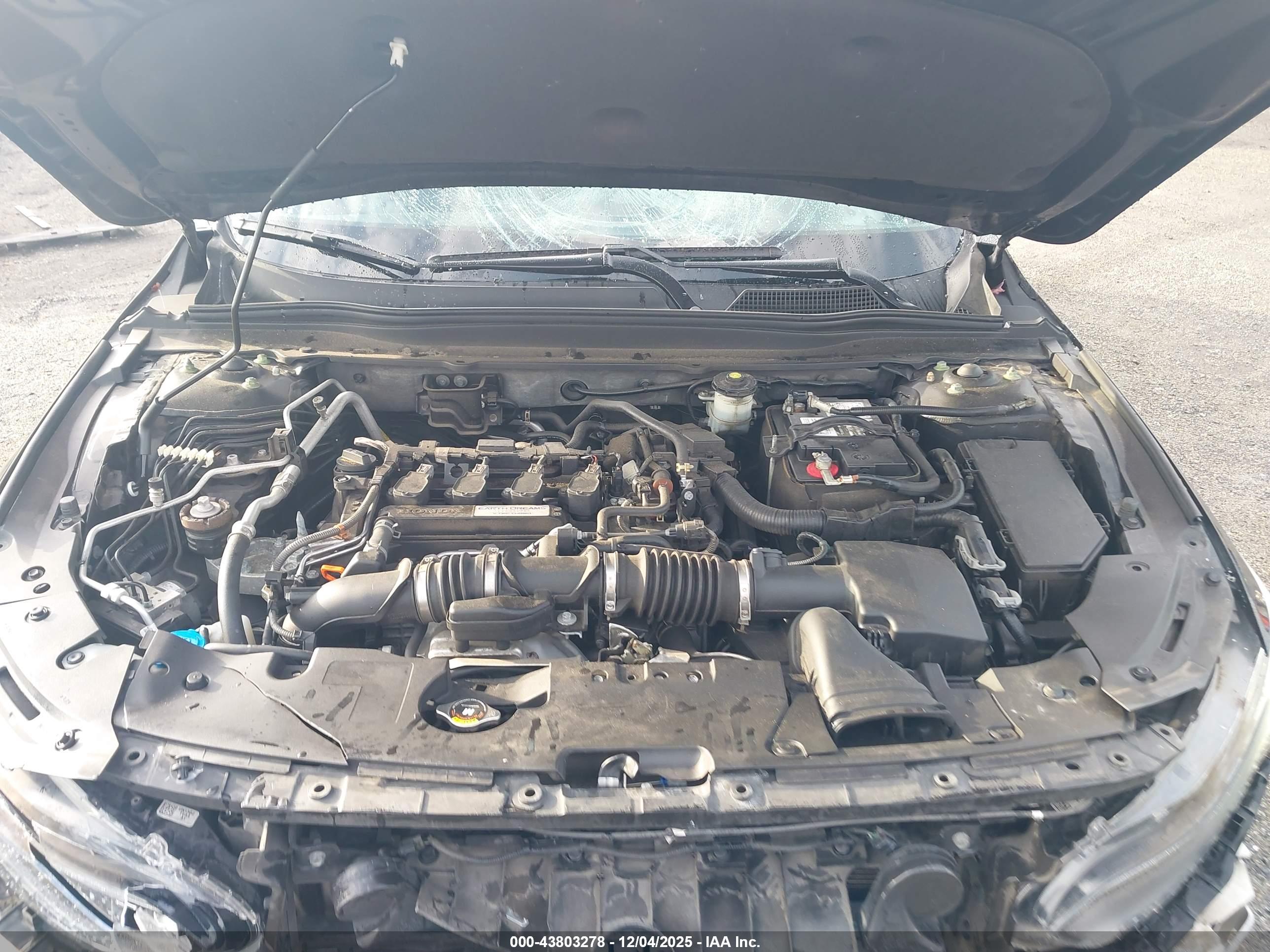 HONDA ACCORD image 10