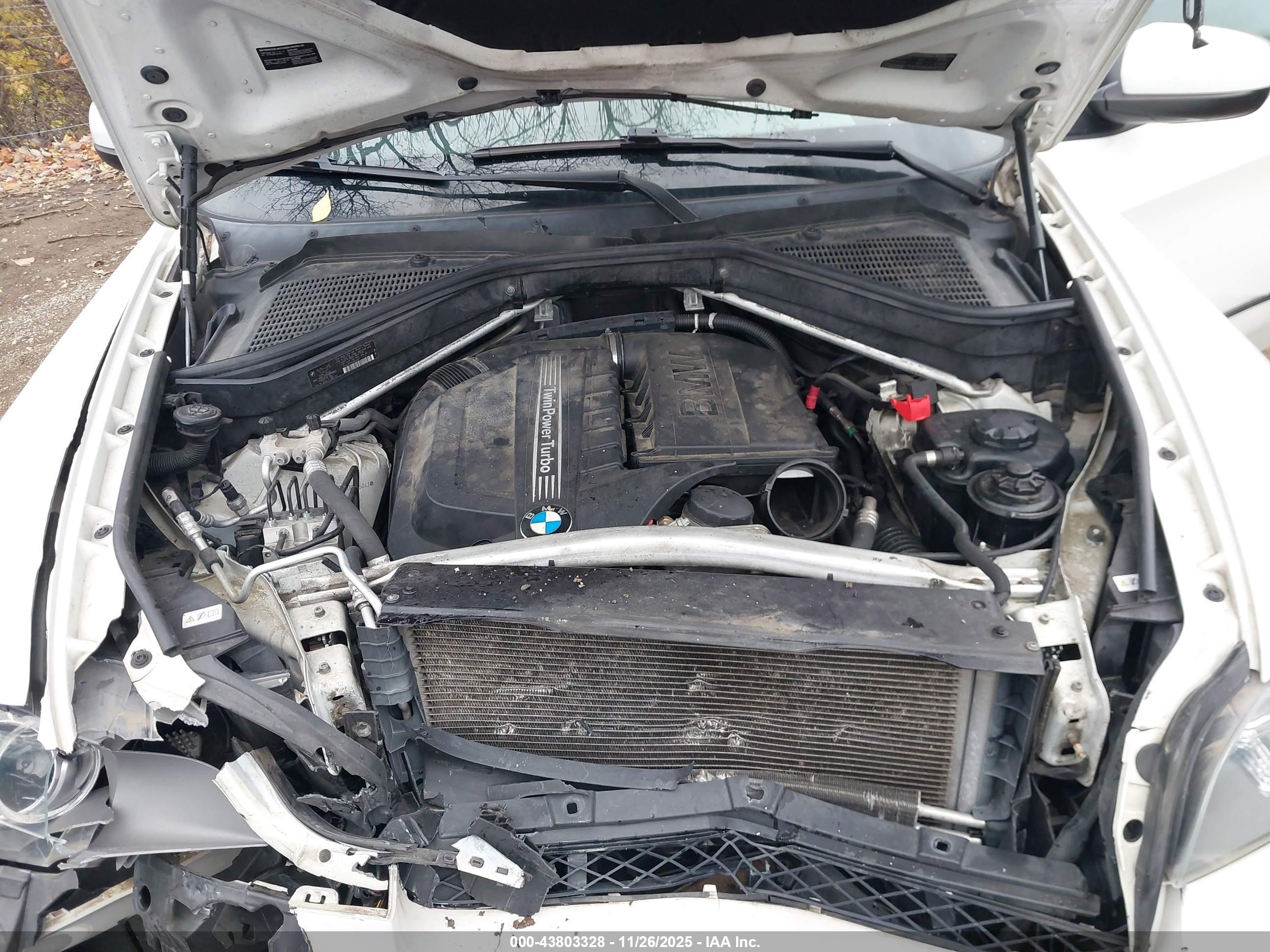 BMW X5 image 10