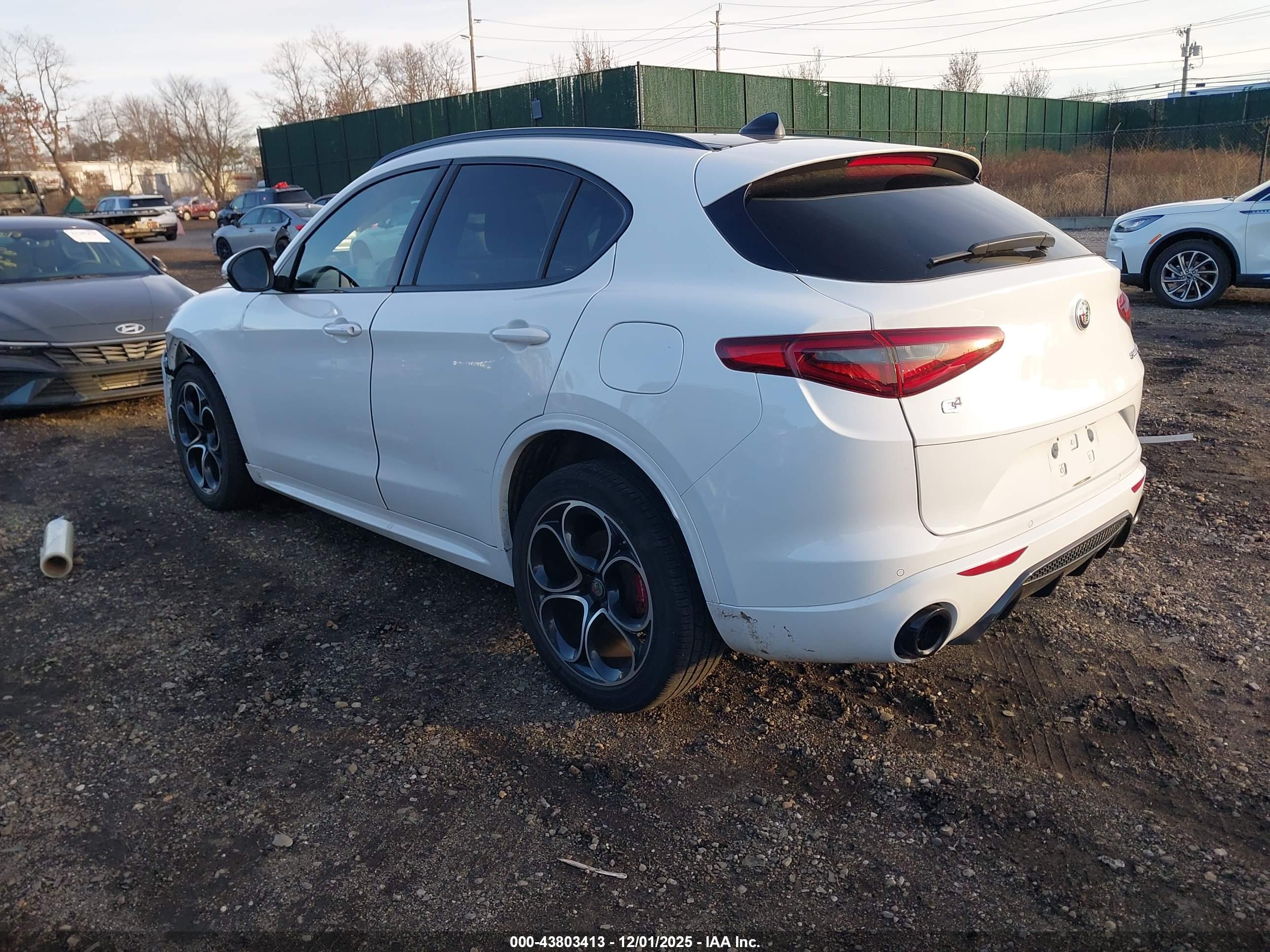 ALFA ROMEO image 3