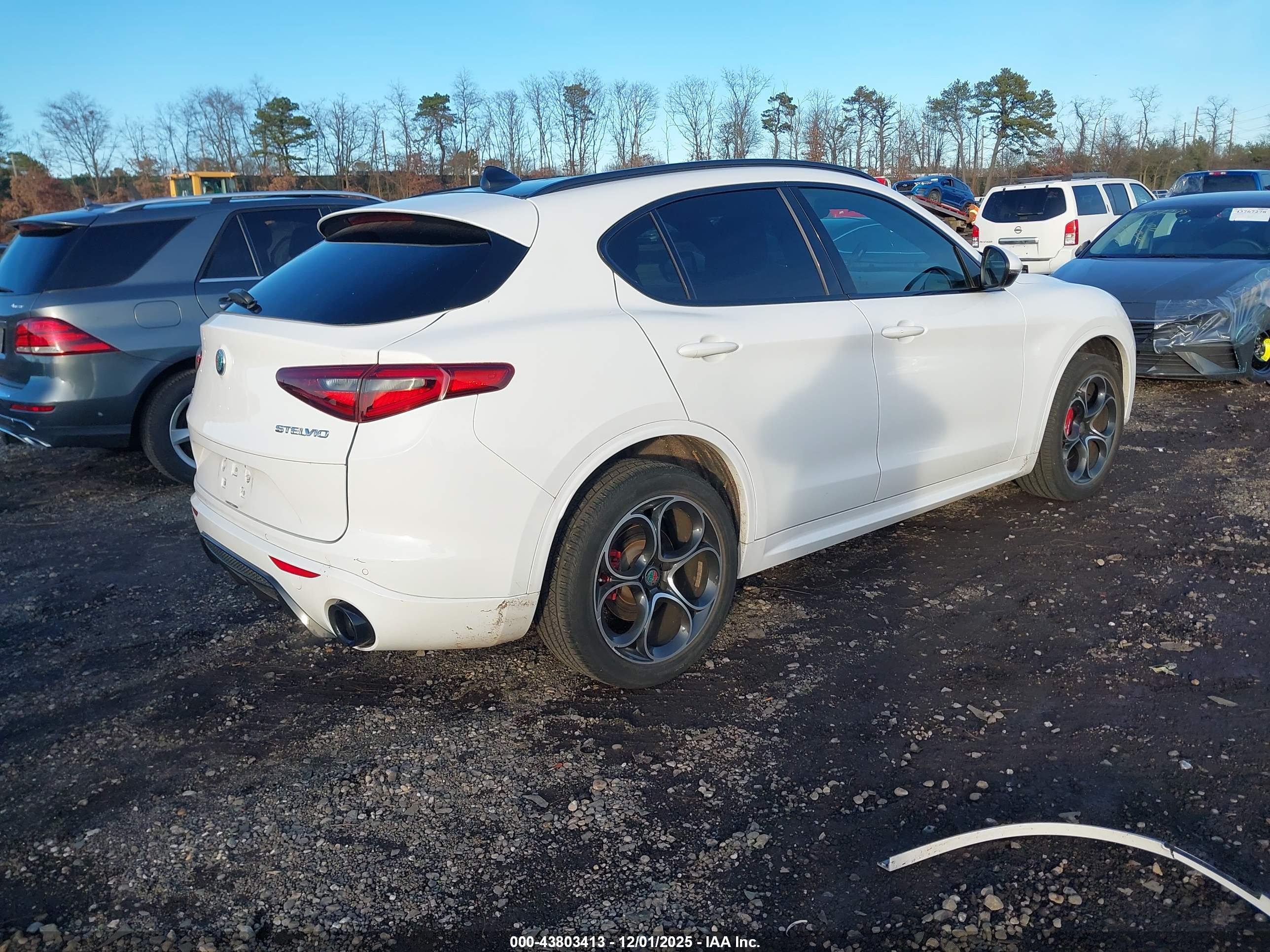 ALFA ROMEO image 4