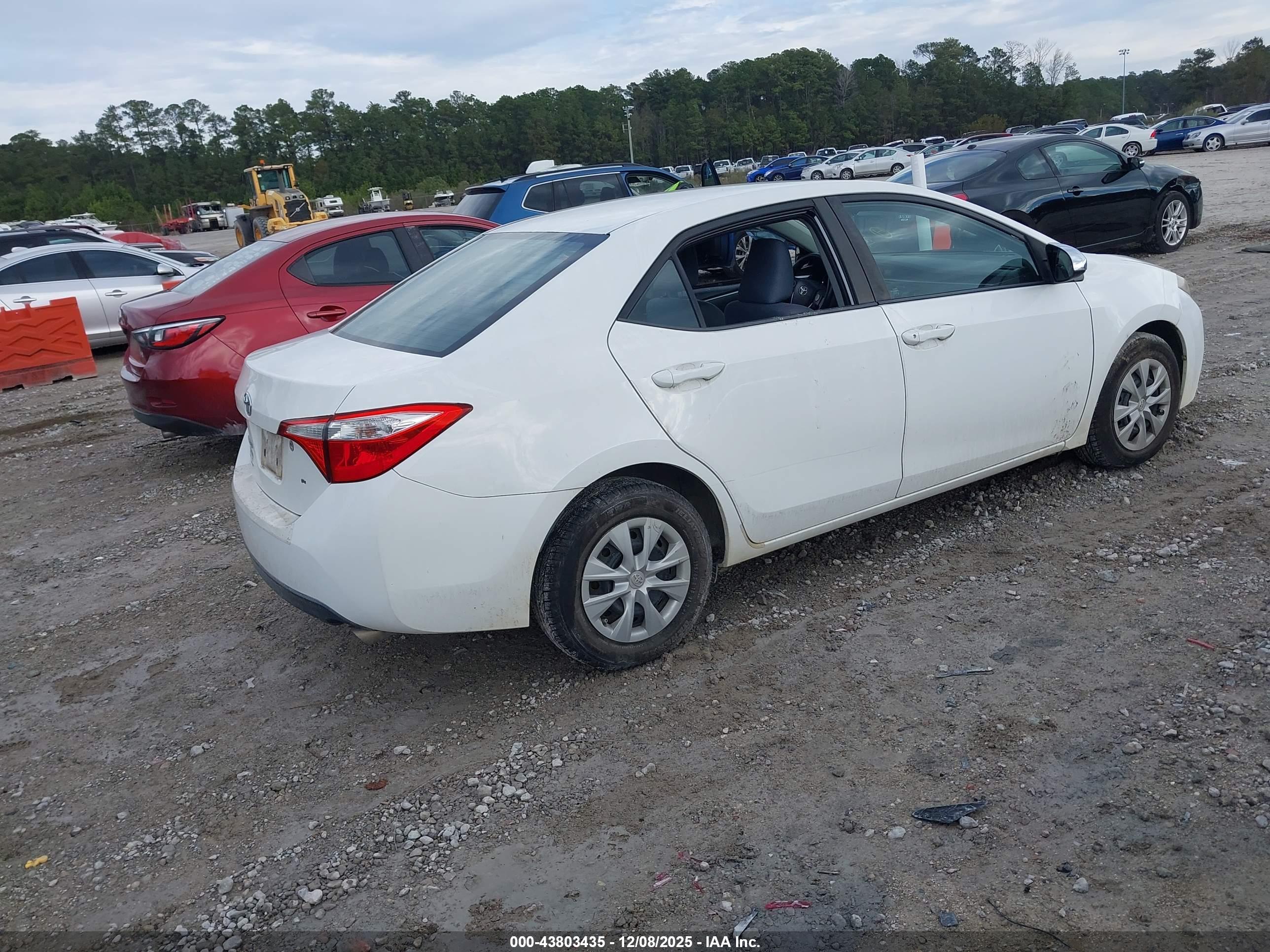TOYOTA COROLLA image 4