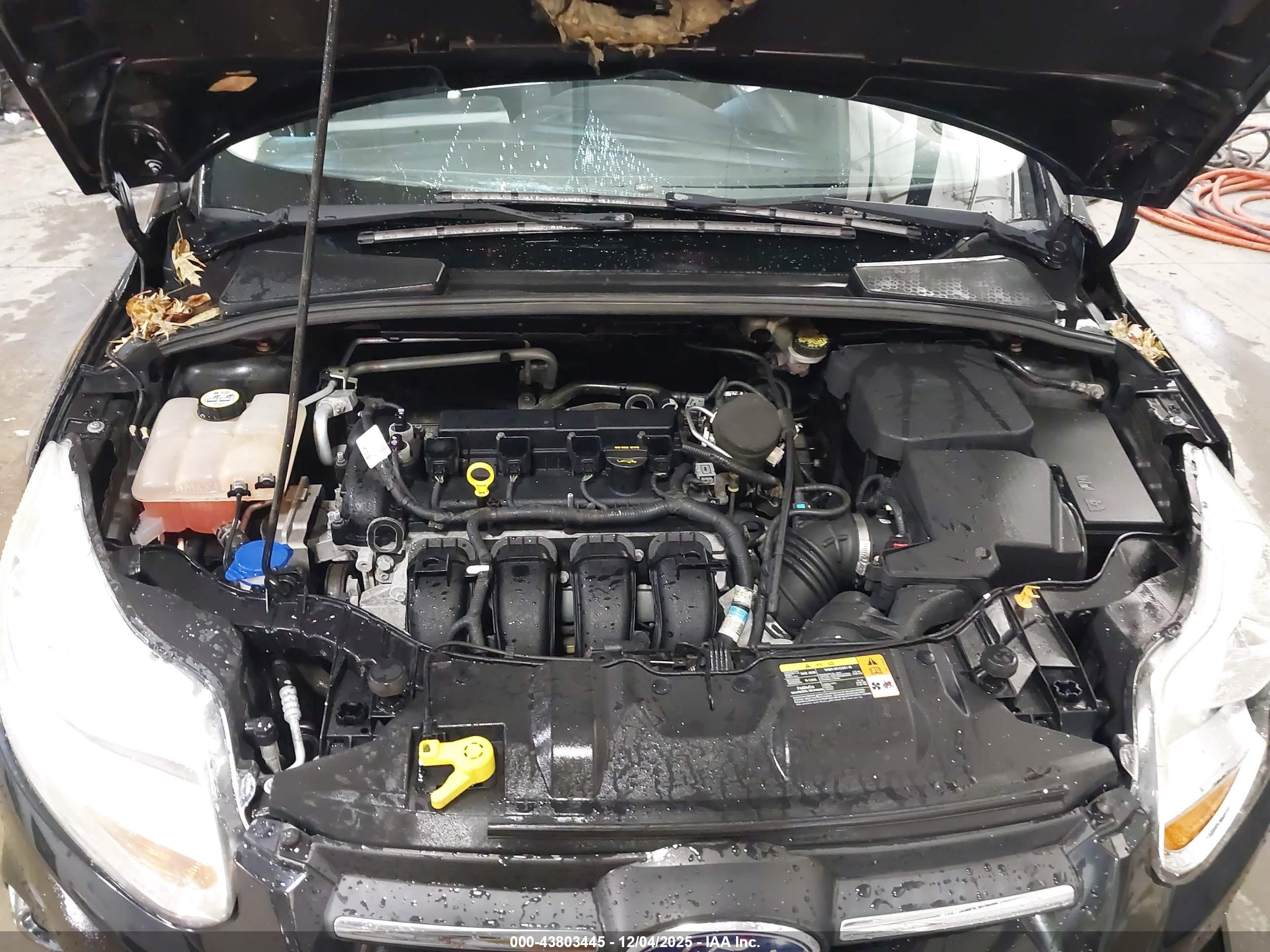 FORD FOCUS image 10