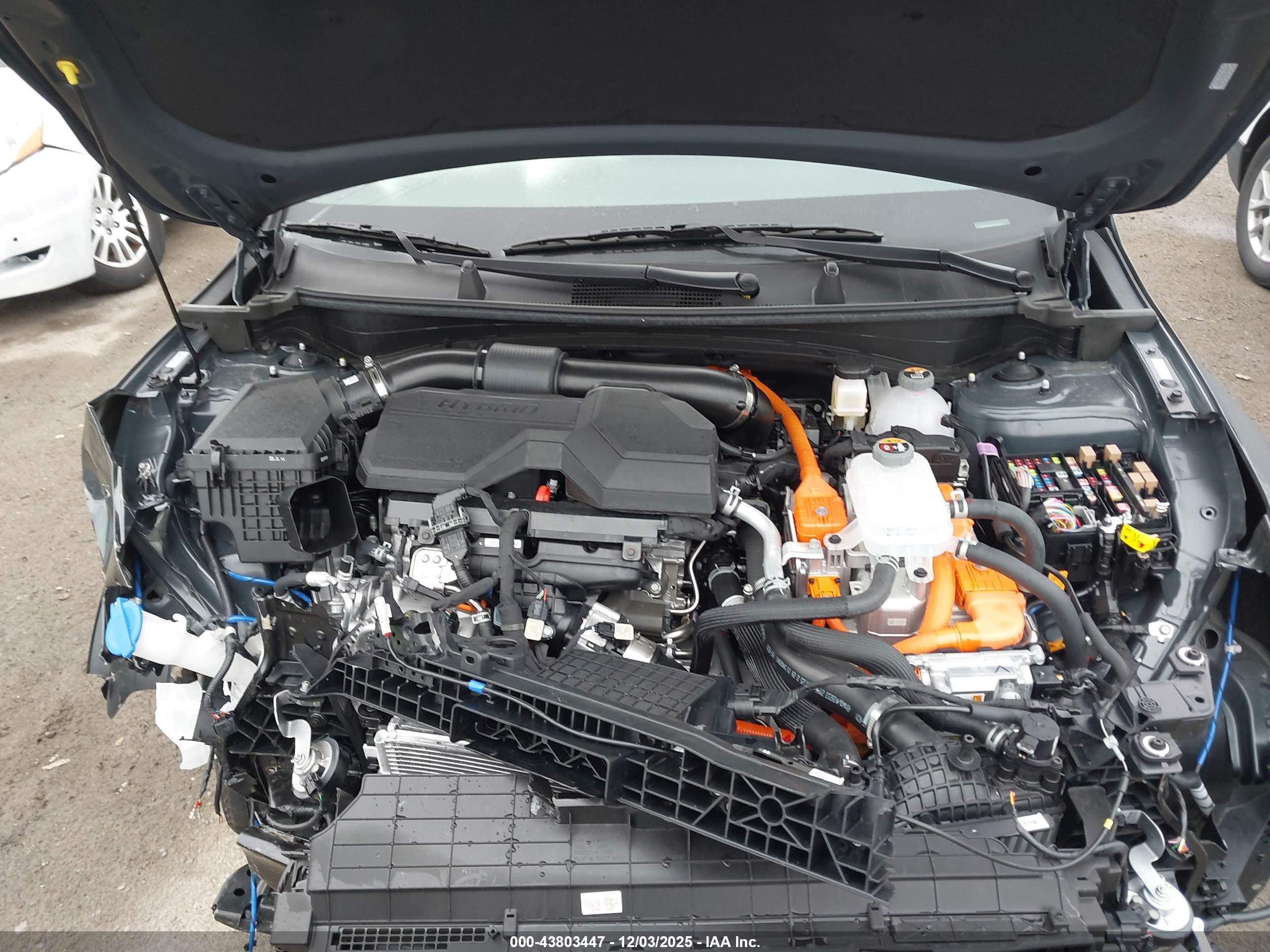 KIA SPORTAGE image 10