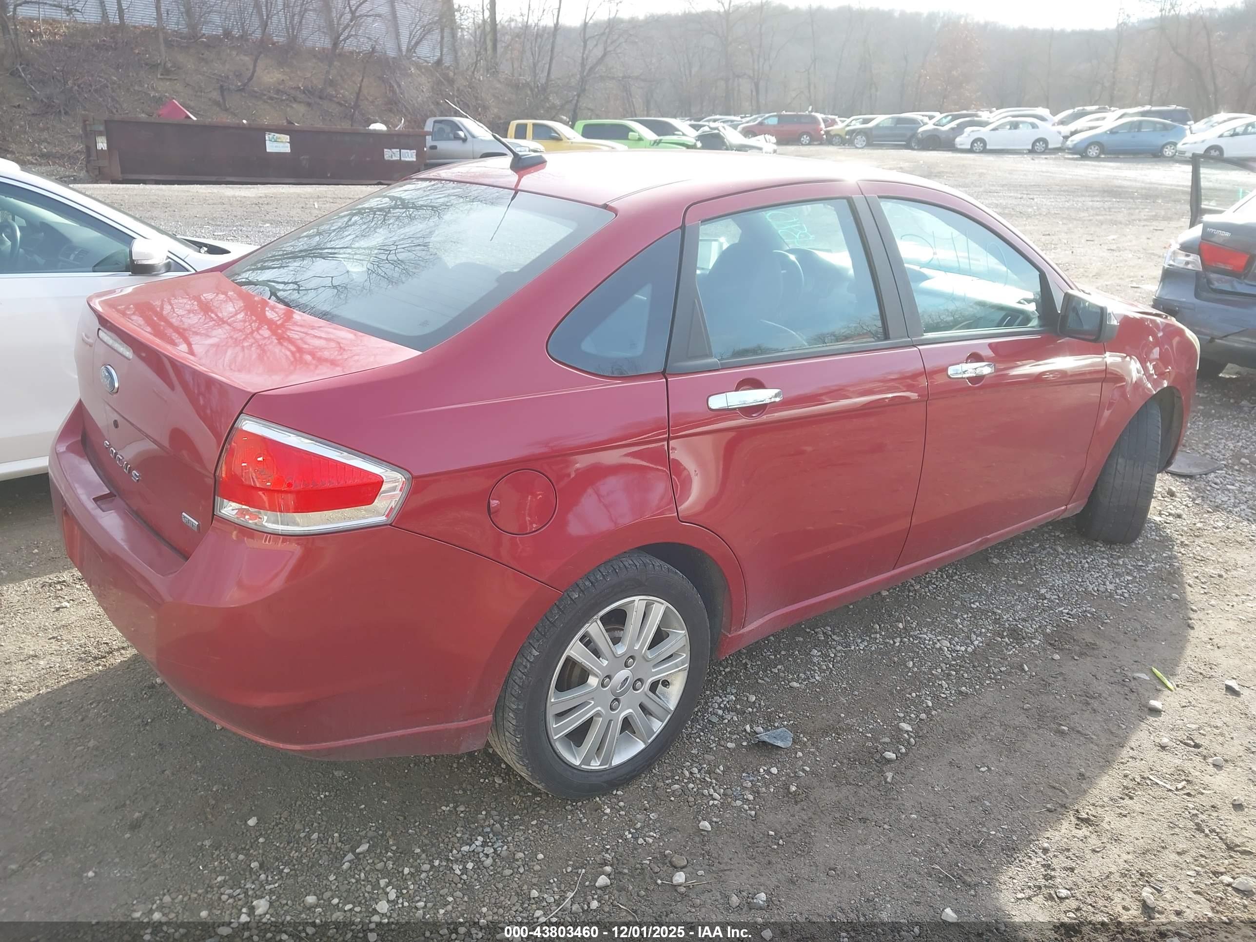 FORD FOCUS image 4