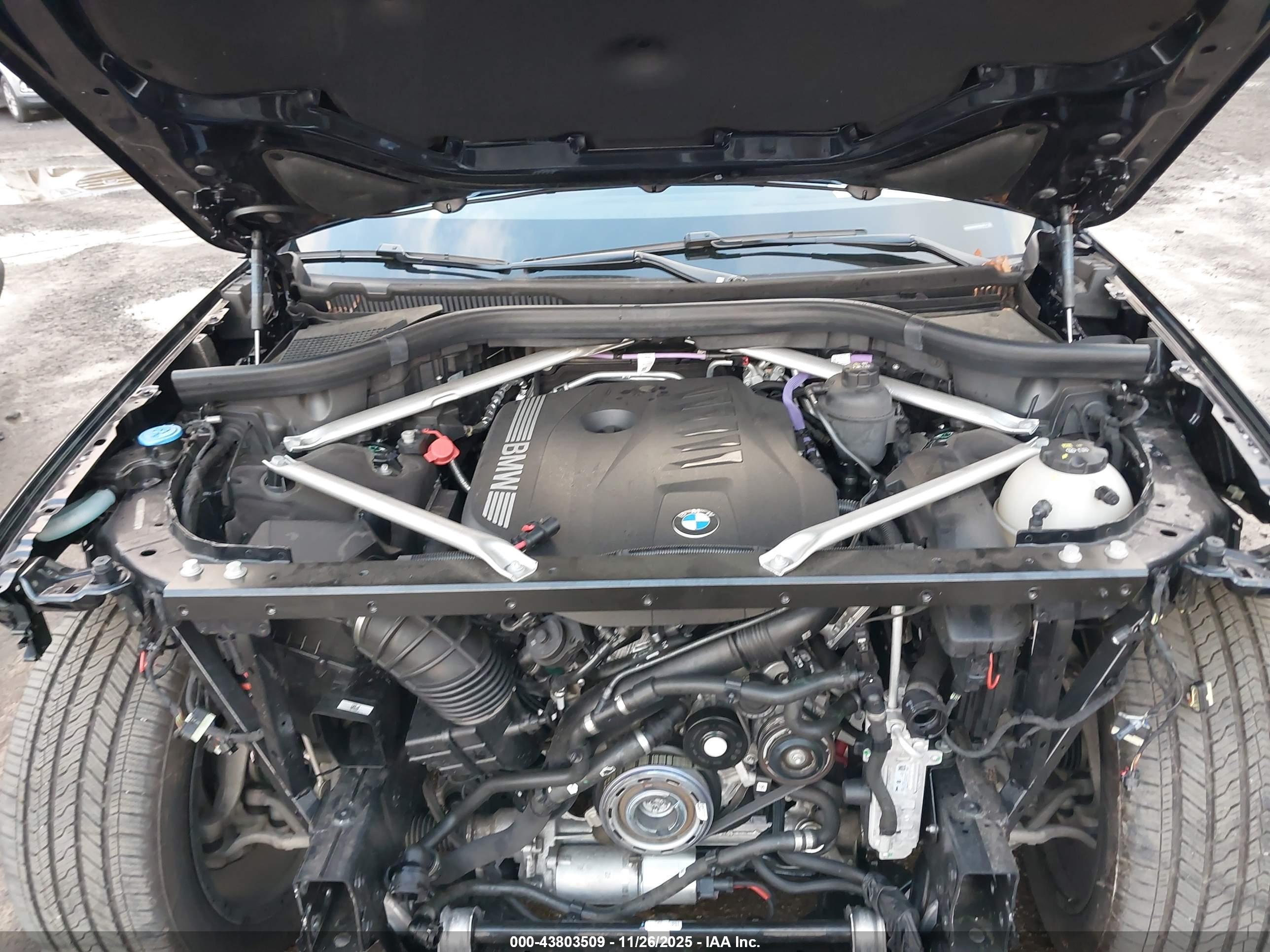 BMW X7 image 10