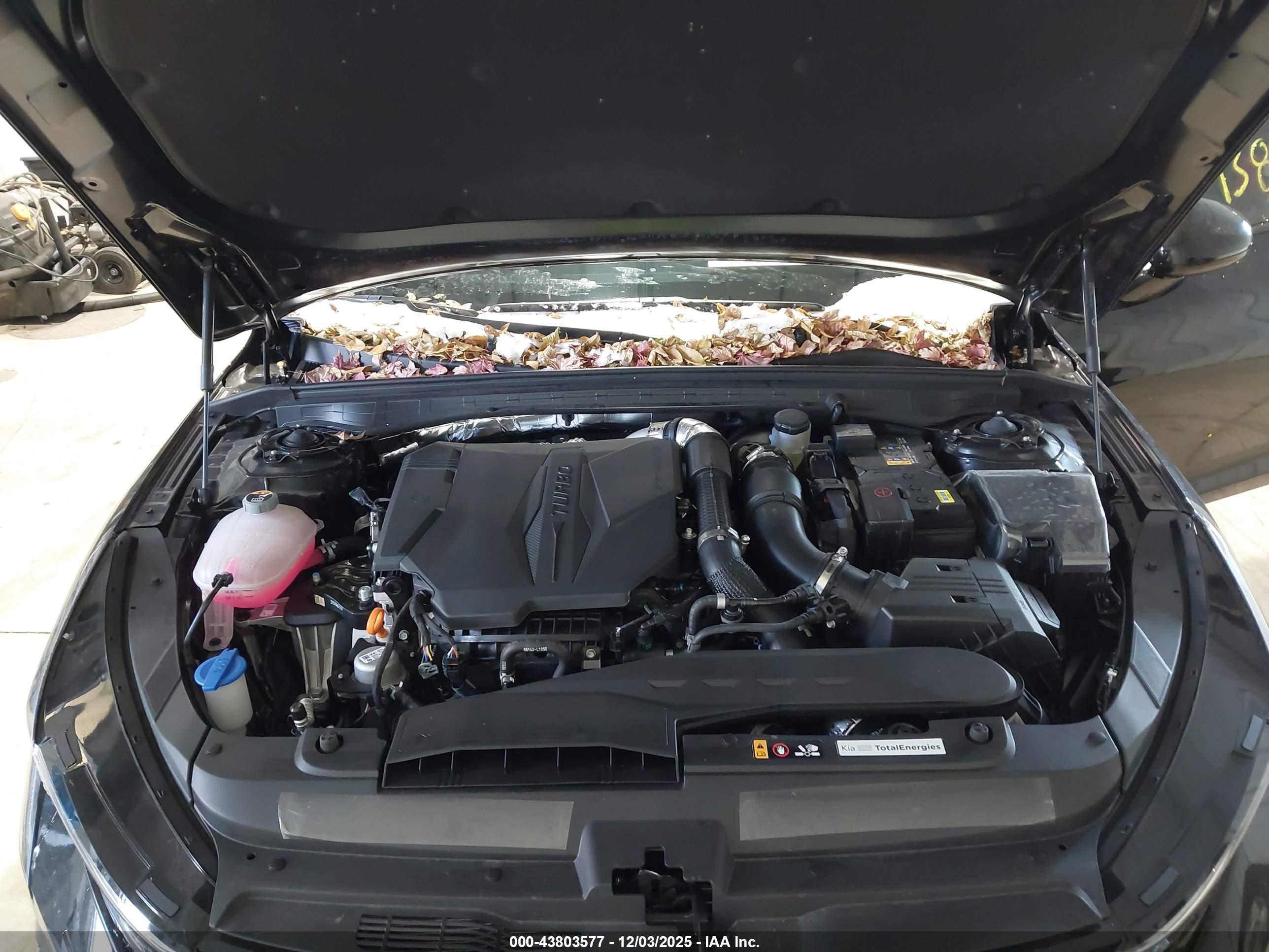 KIA K5 image 10