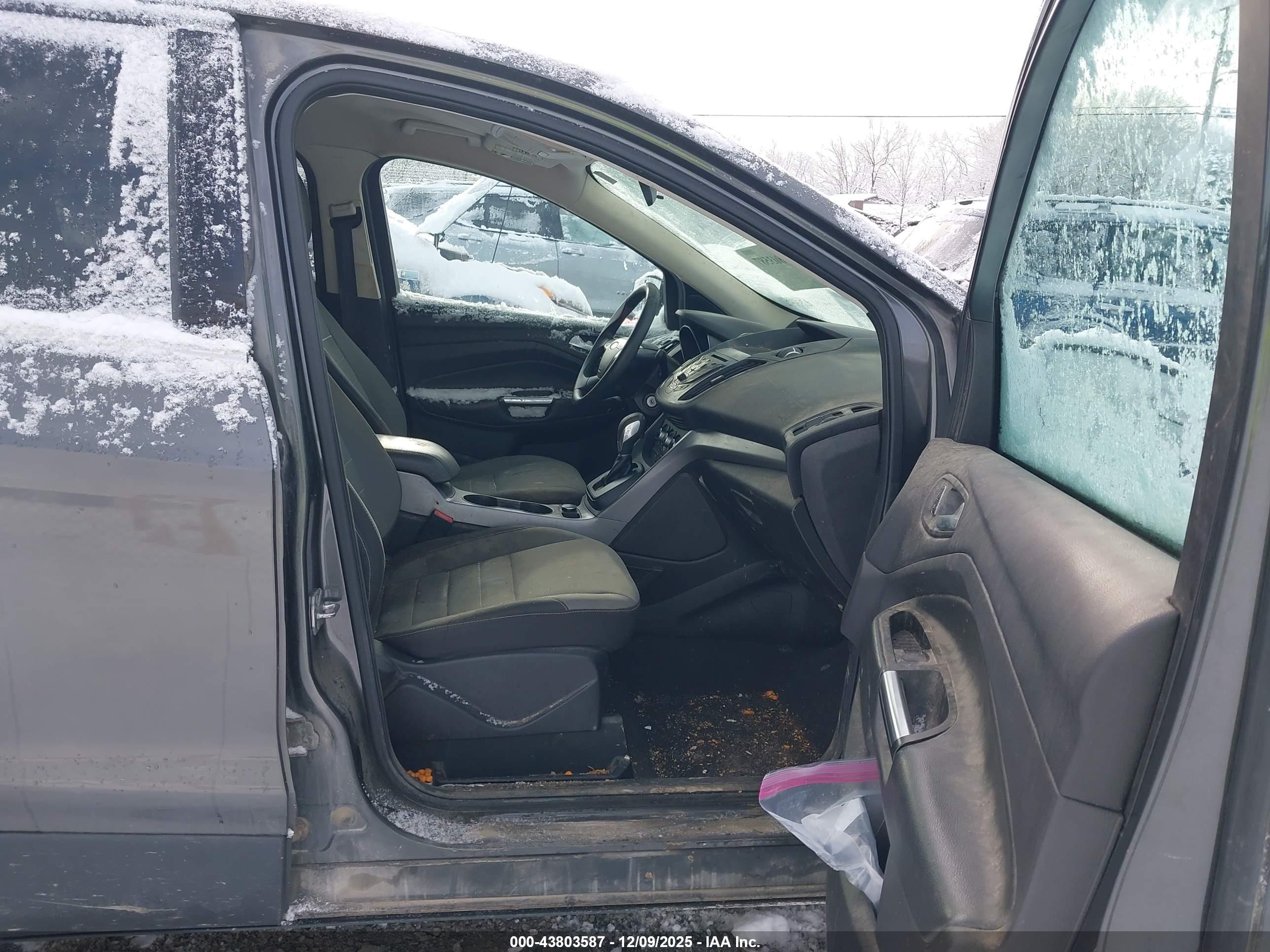 FORD ESCAPE image 5