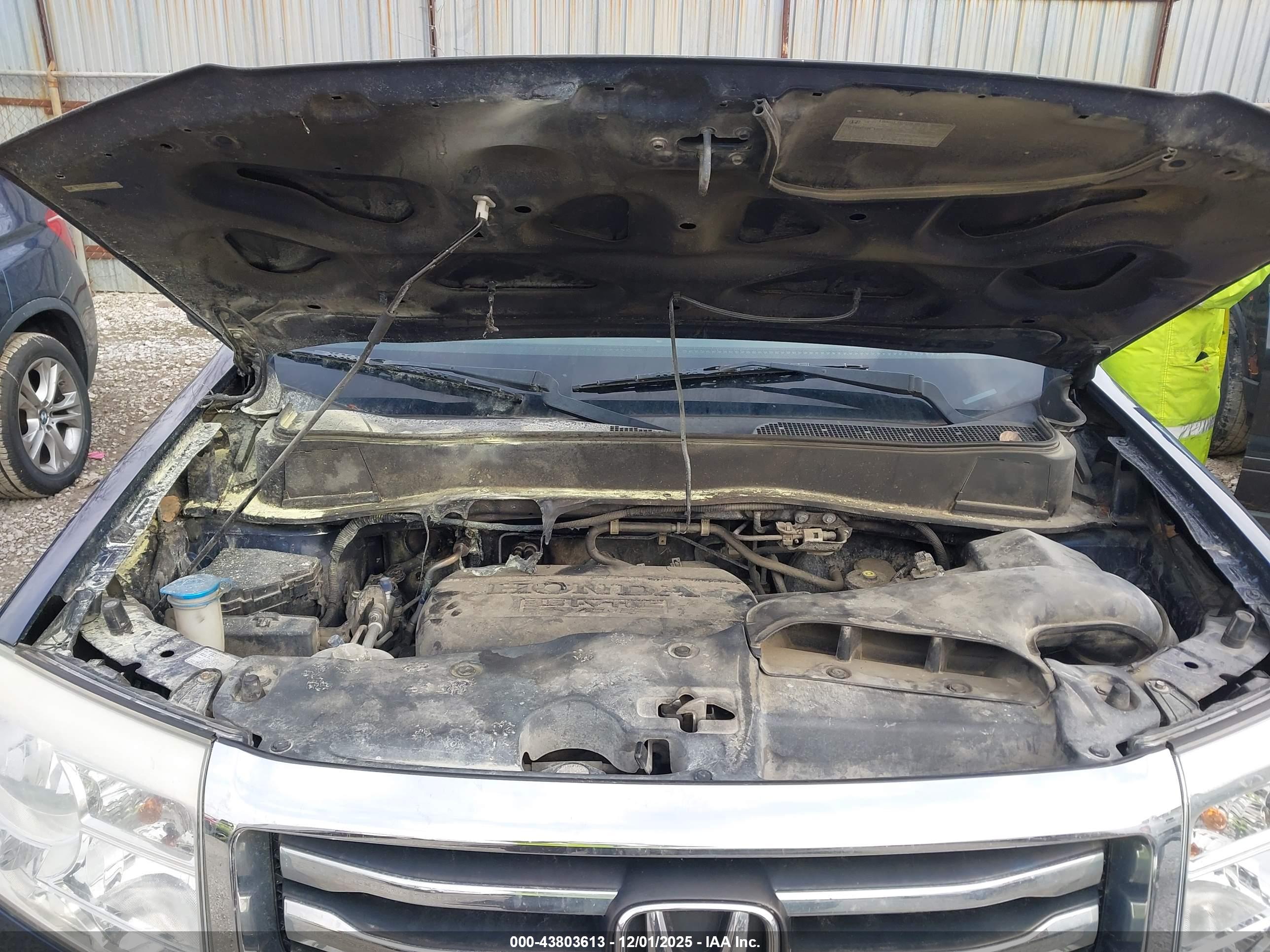 HONDA PILOT image 10