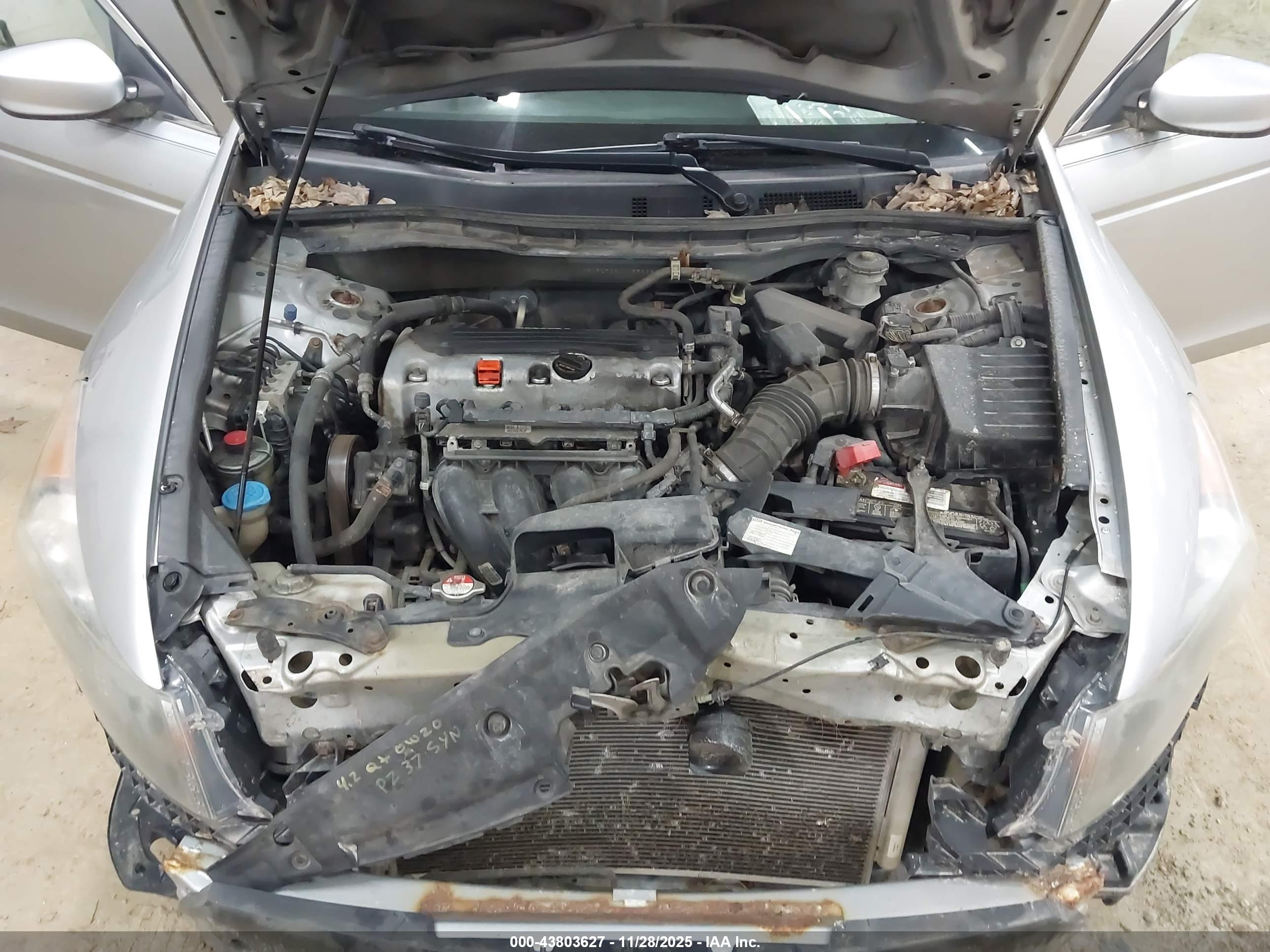 HONDA ACCORD image 10