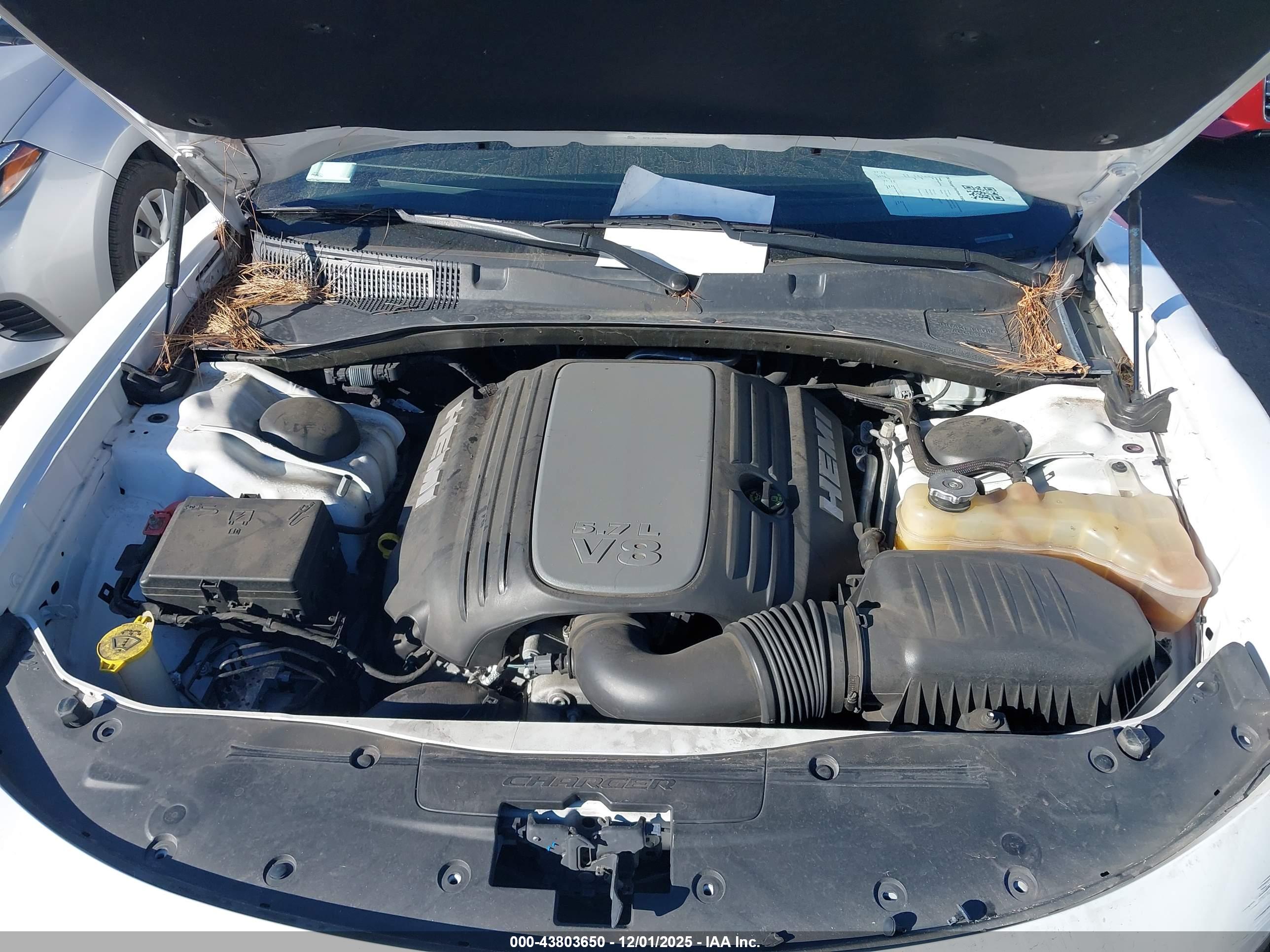 DODGE CHARGER image 10