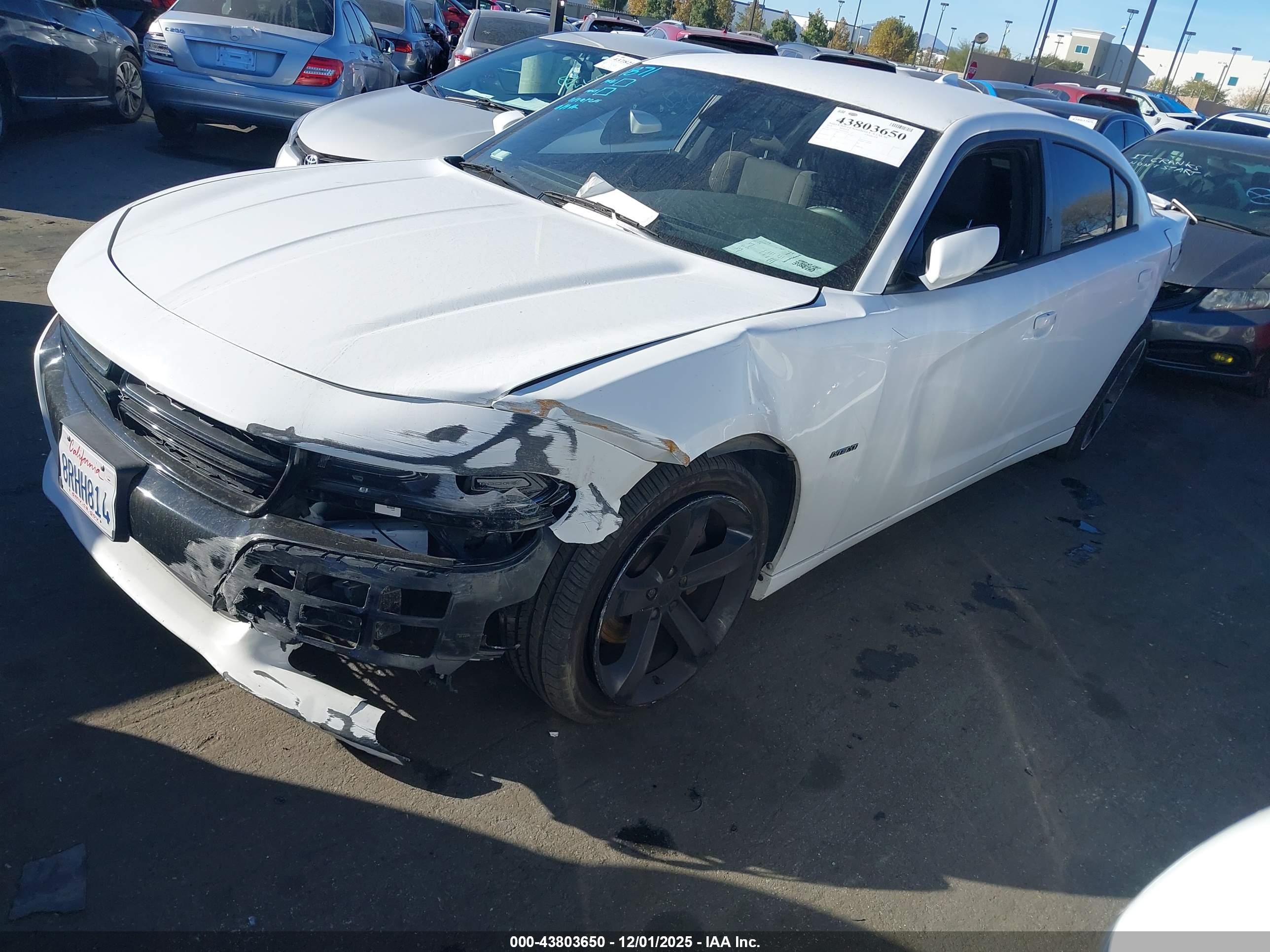 DODGE CHARGER image 2