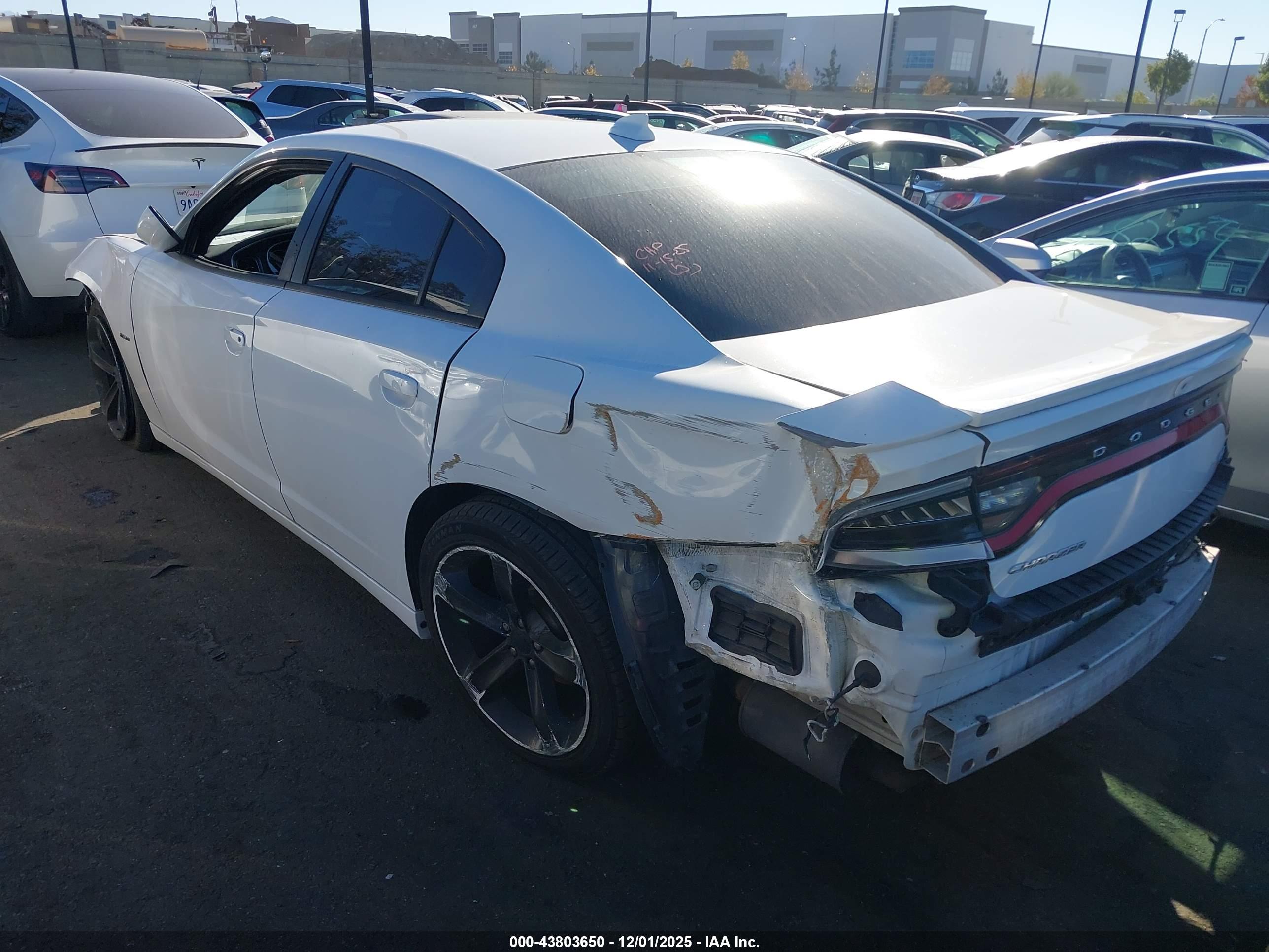 DODGE CHARGER image 3