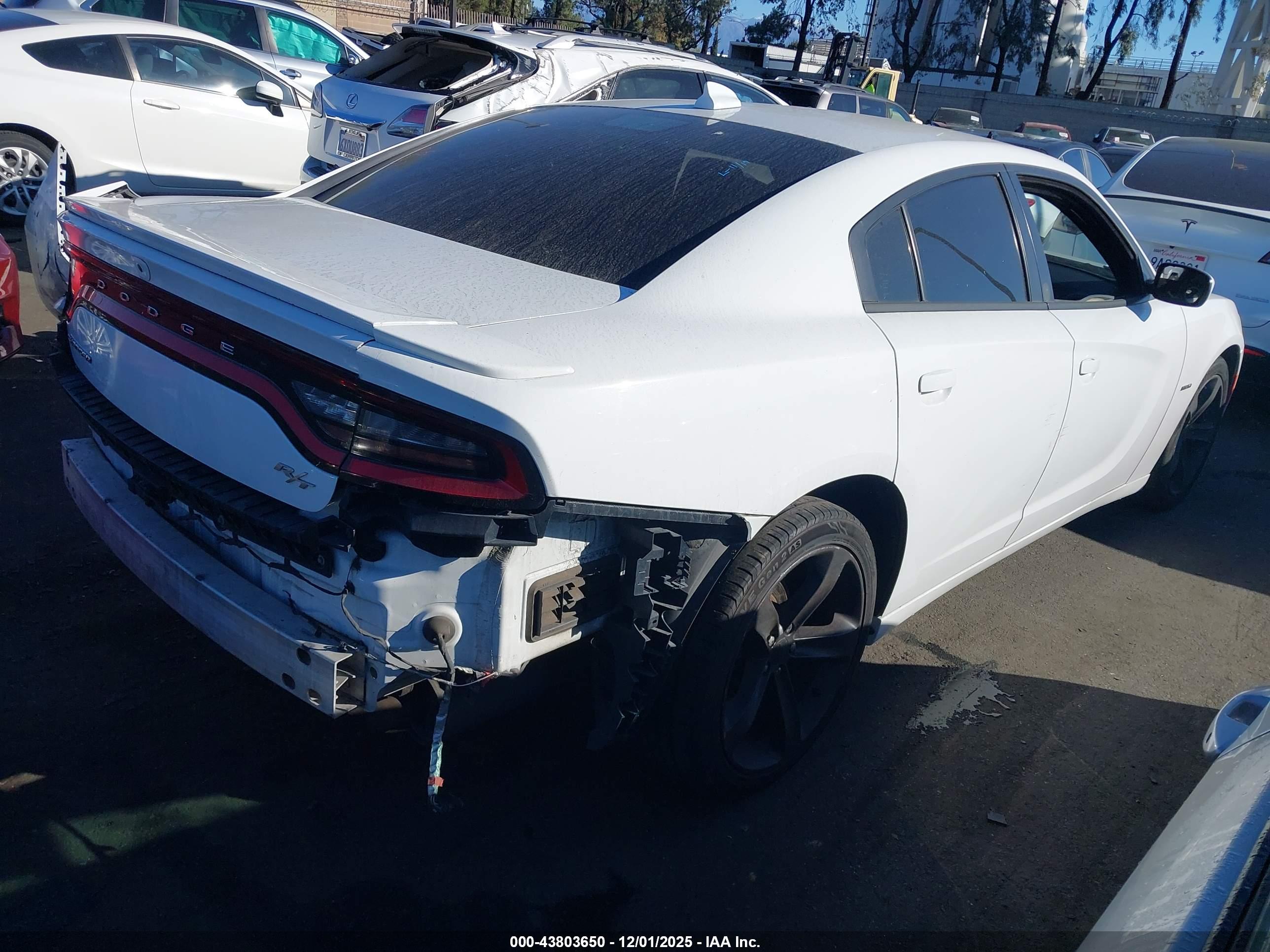 DODGE CHARGER image 4