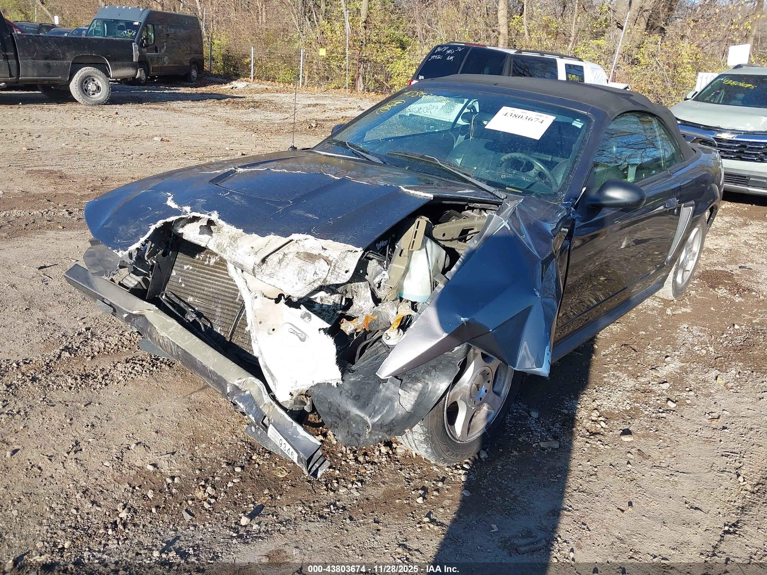 FORD MUSTANG image 2