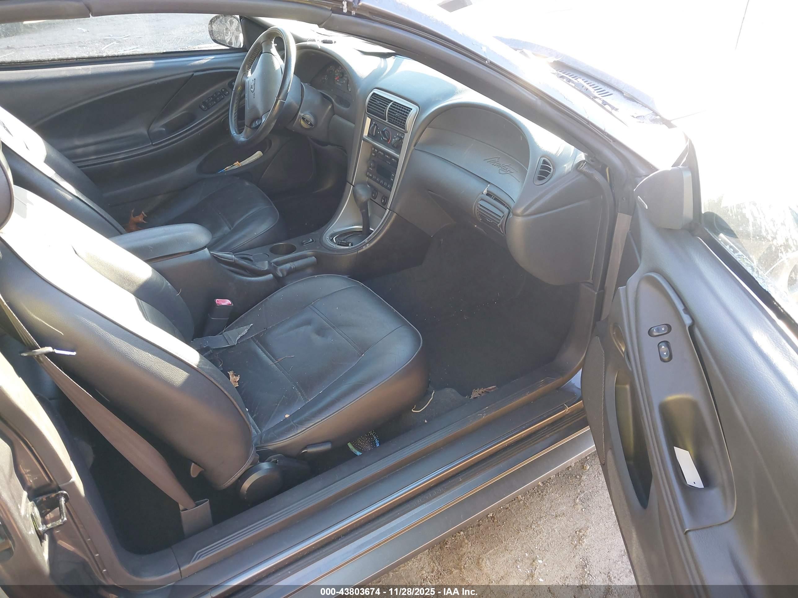 FORD MUSTANG image 5