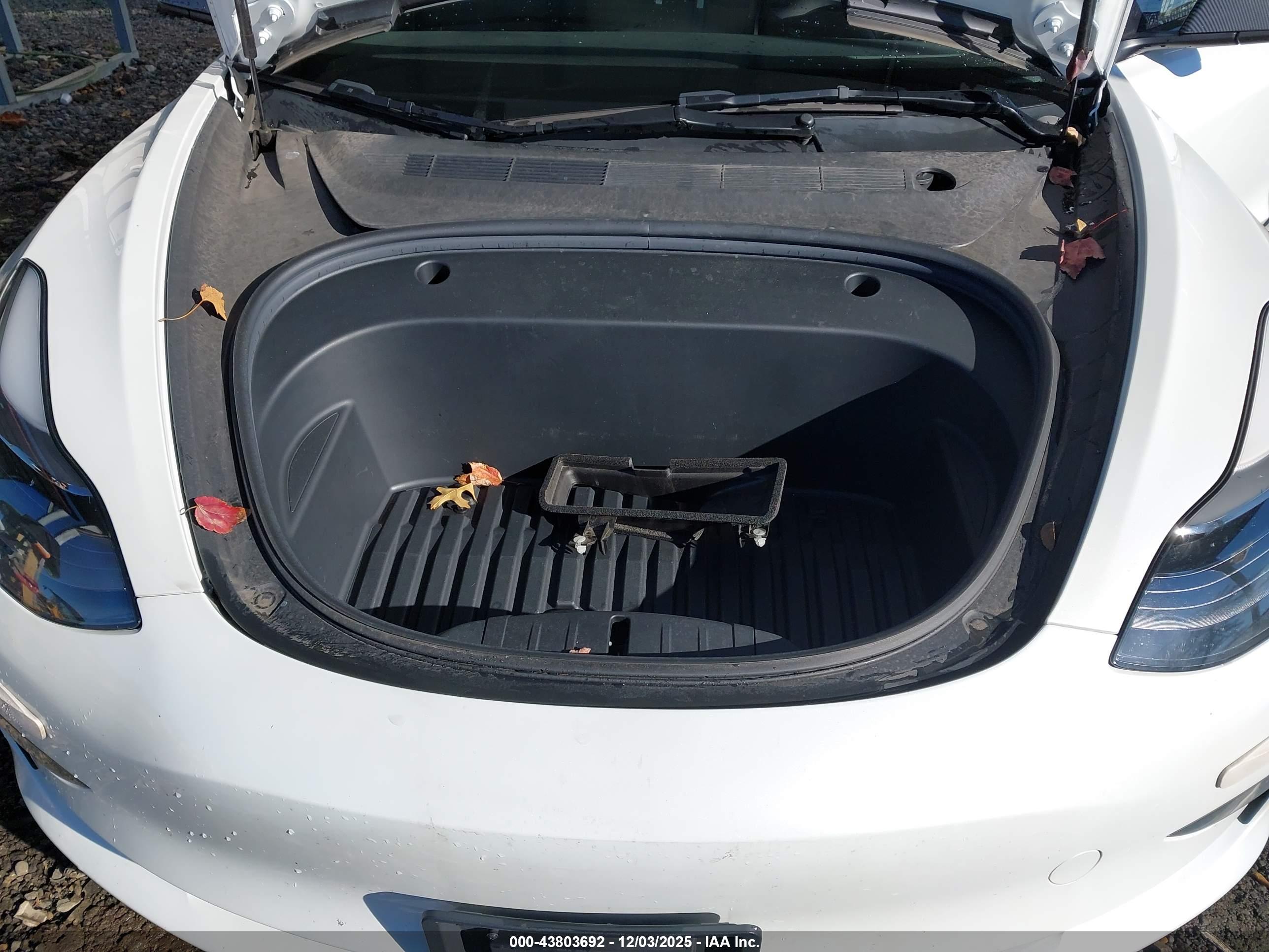 TESLA MODEL image 10