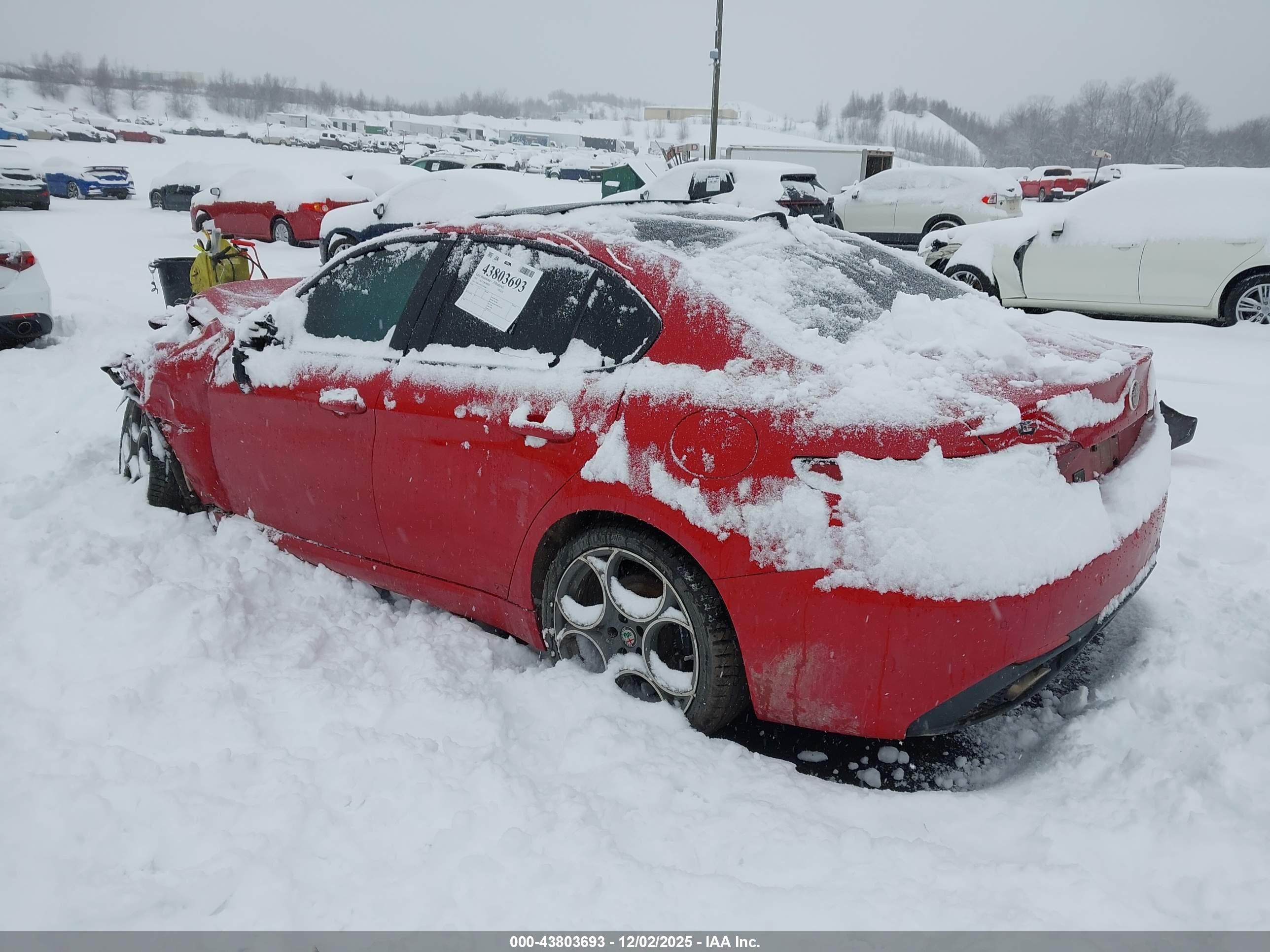 ALFA ROMEO image 3