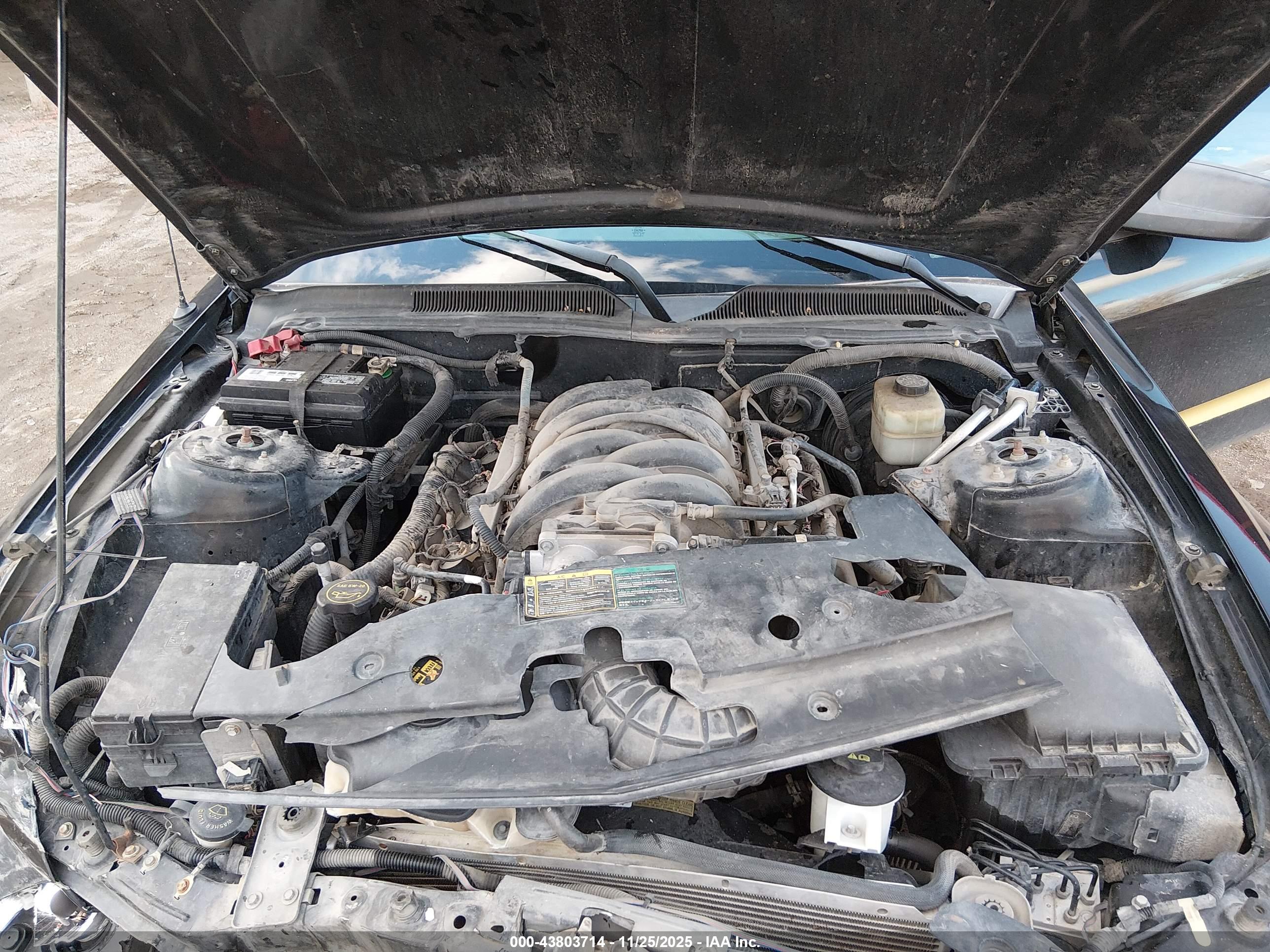 FORD MUSTANG image 10