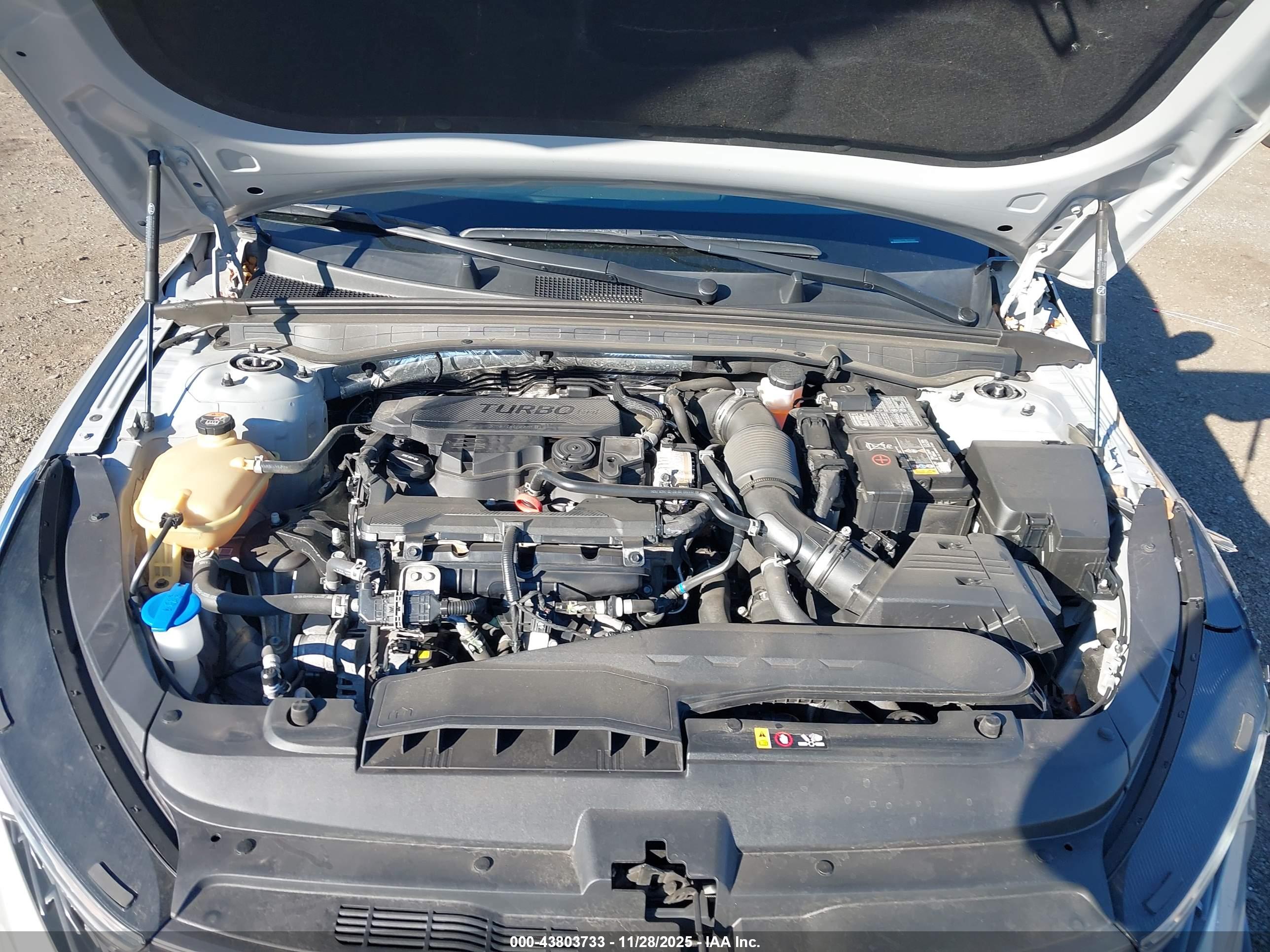 KIA K5 image 10