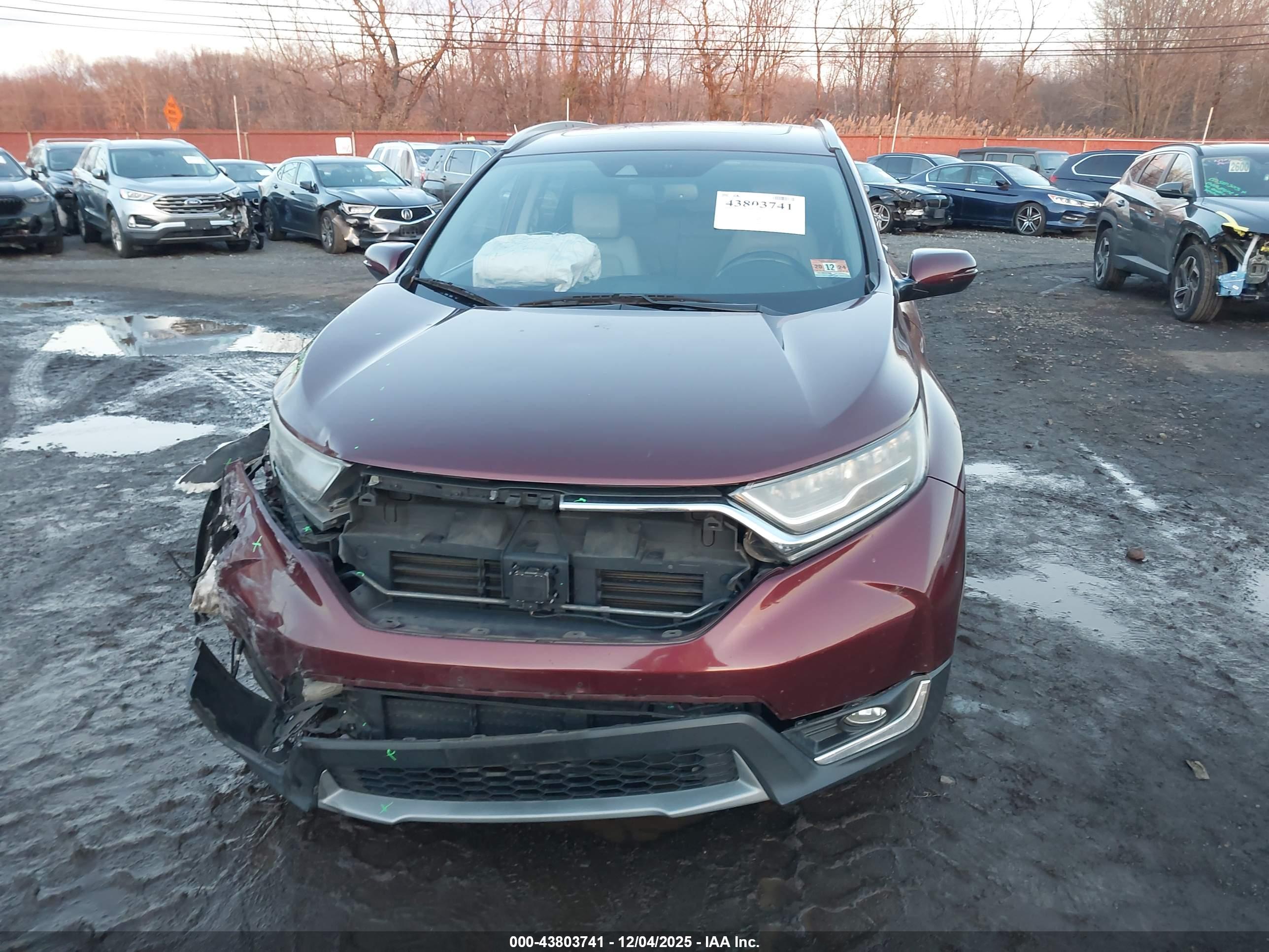 HONDA CR-V image 6