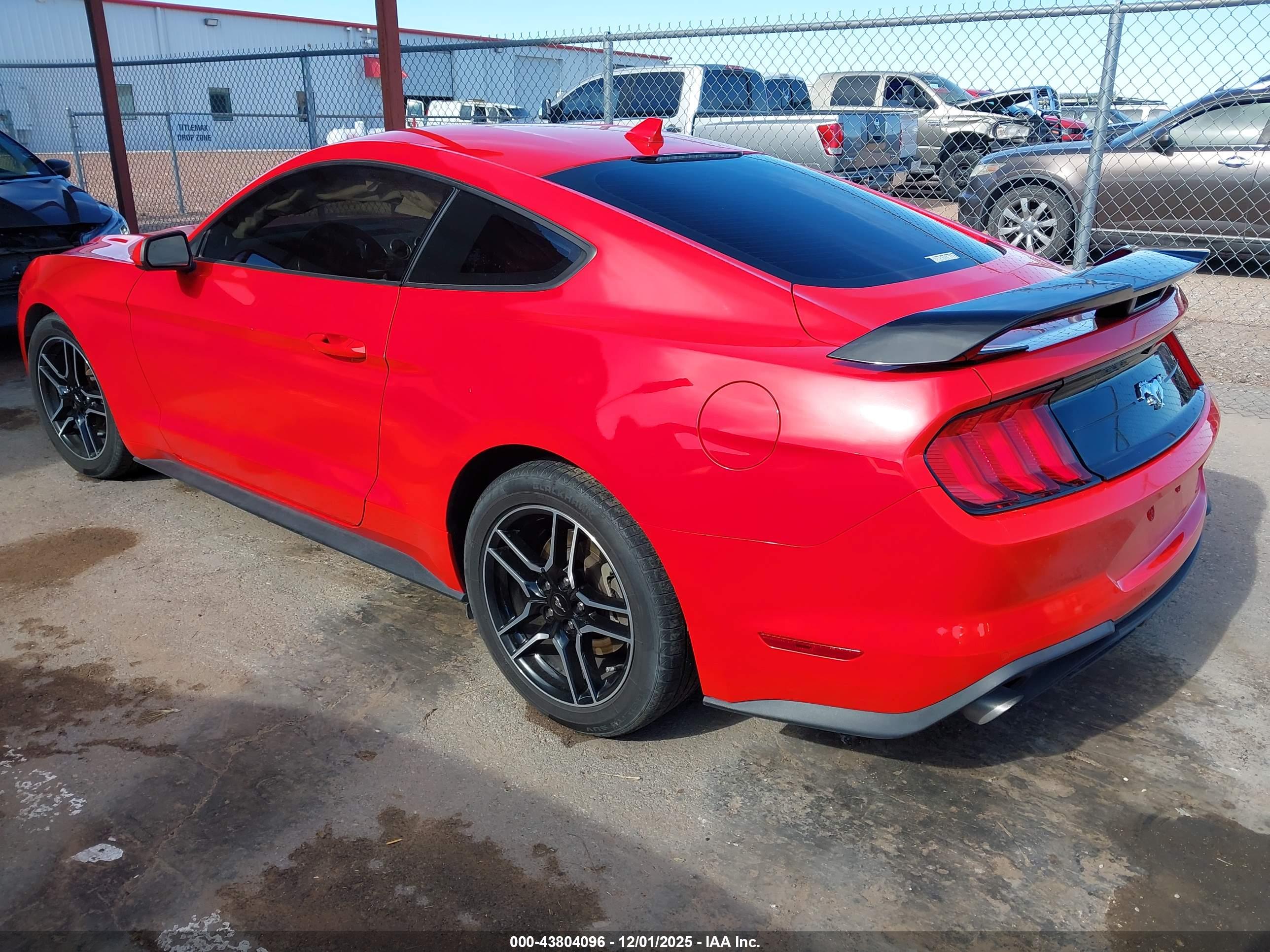FORD MUSTANG image 3