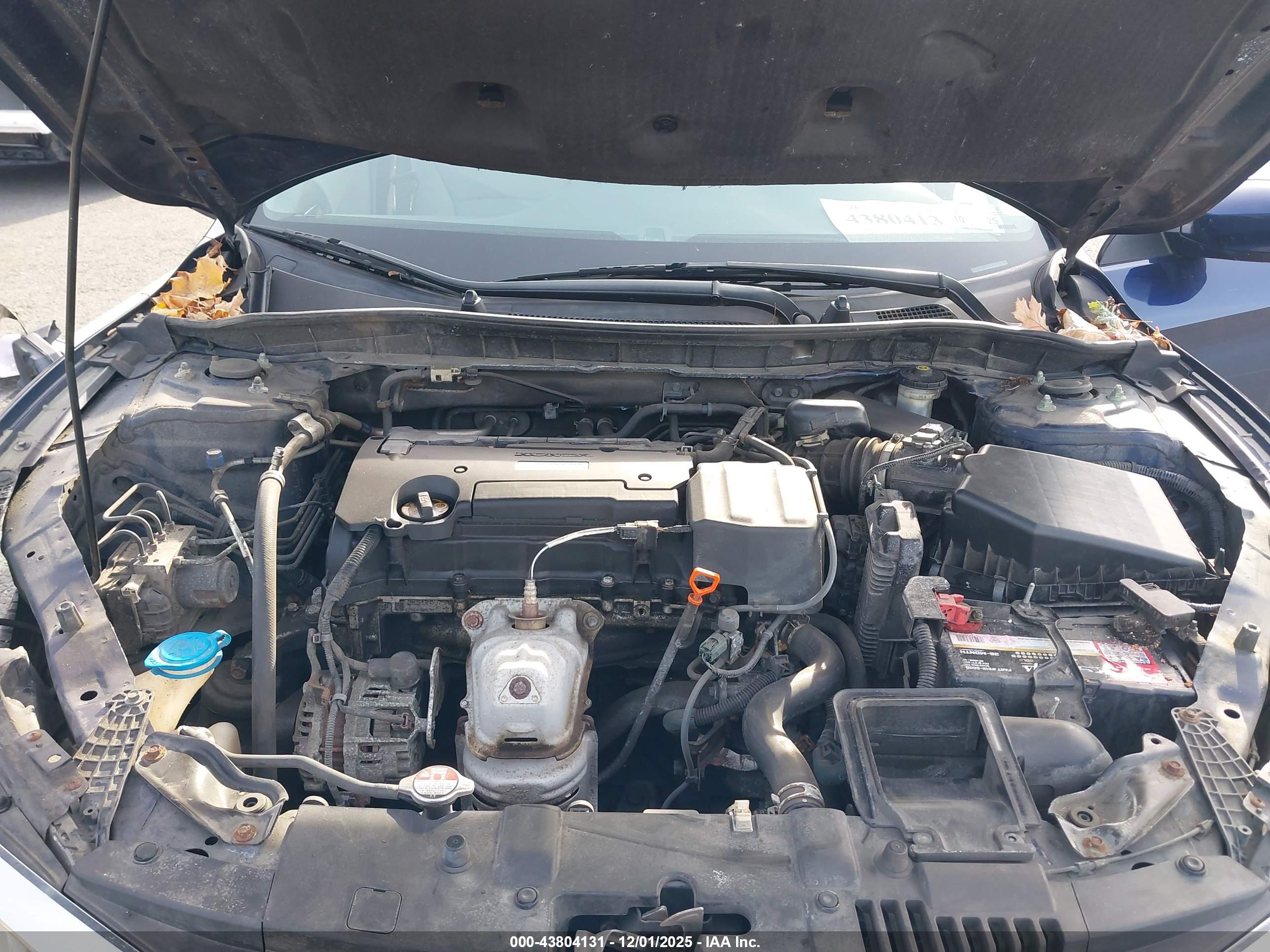 HONDA ACCORD image 10
