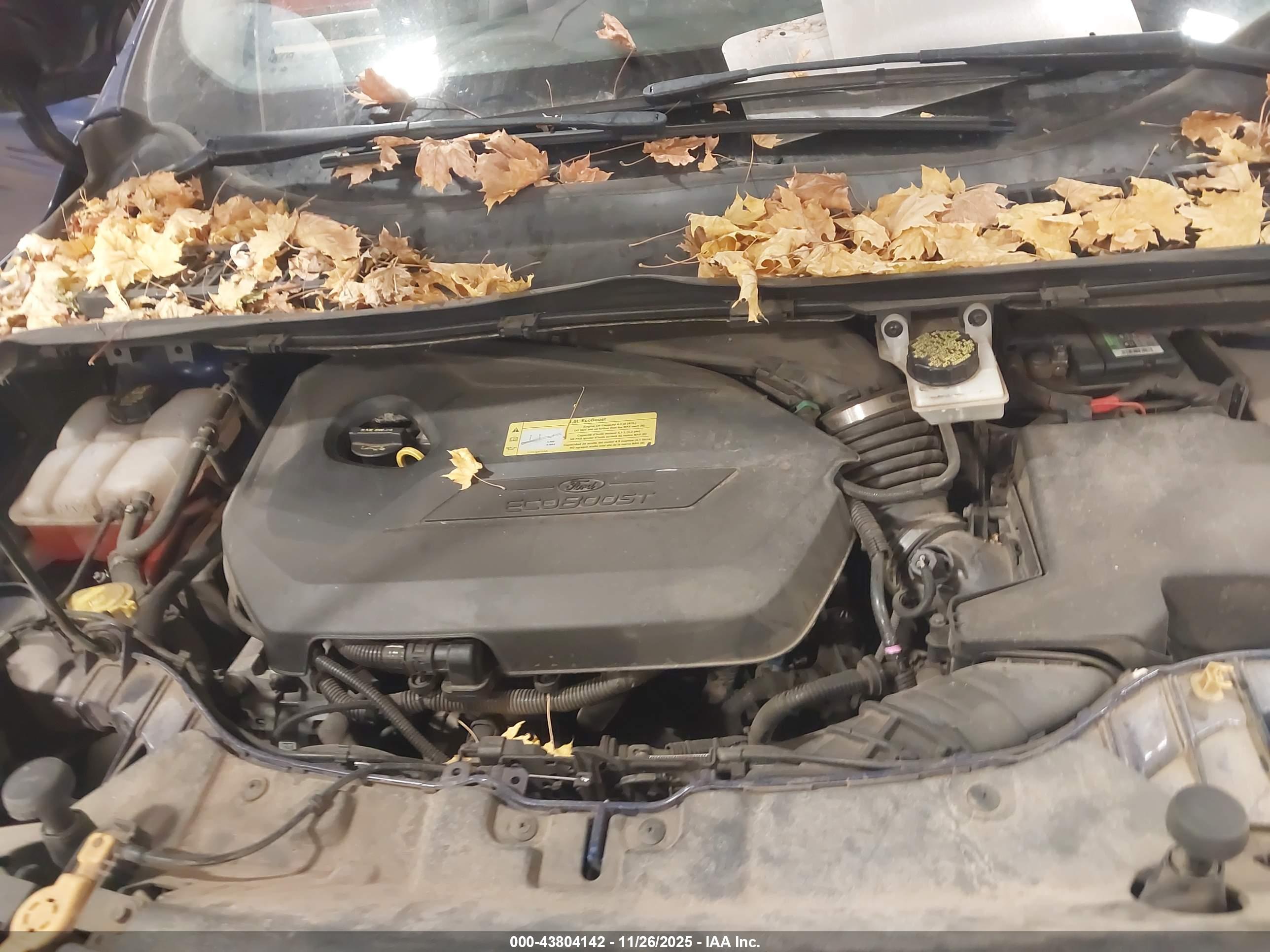 FORD ESCAPE image 10