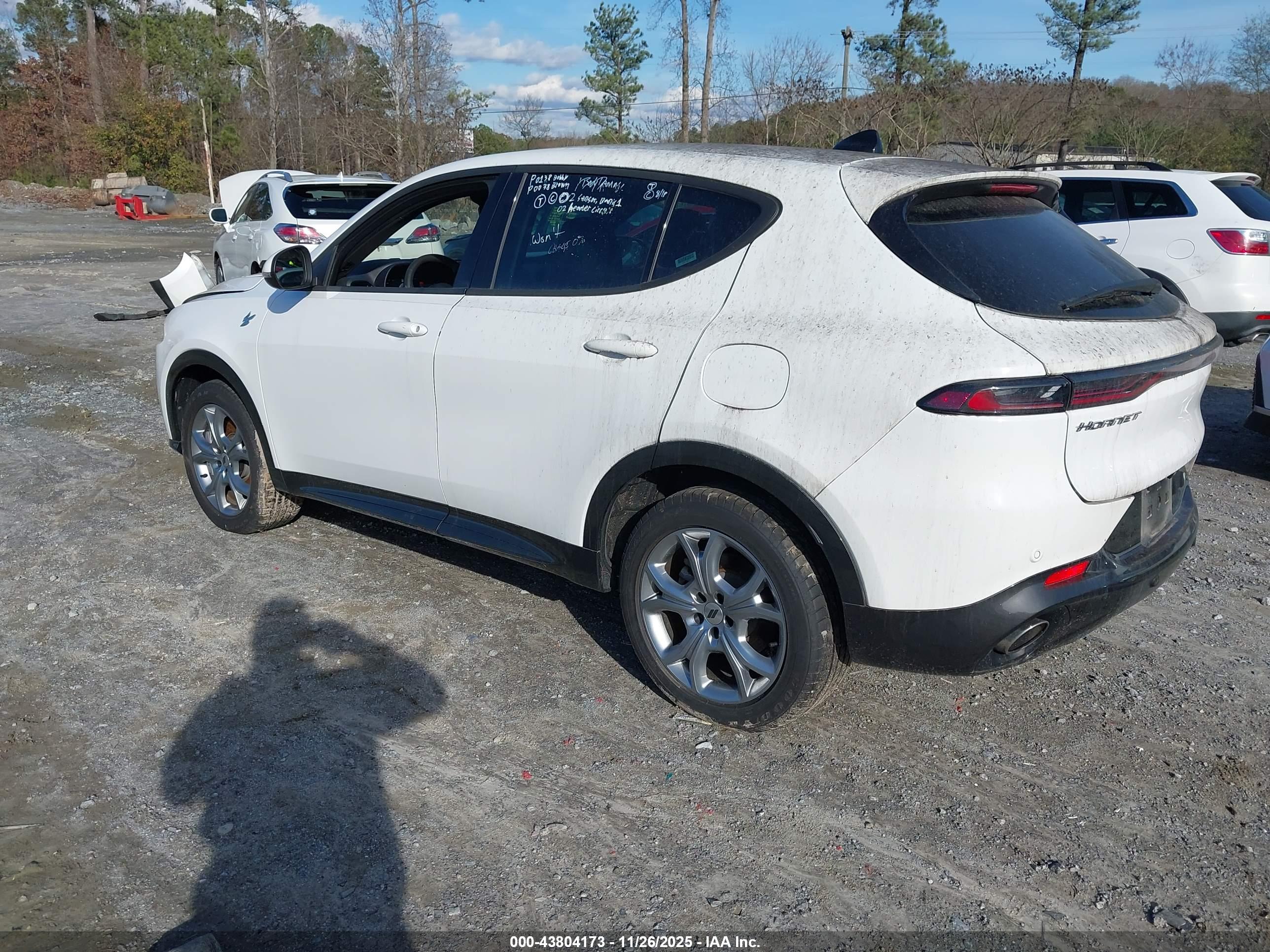 DODGE HORNET image 3