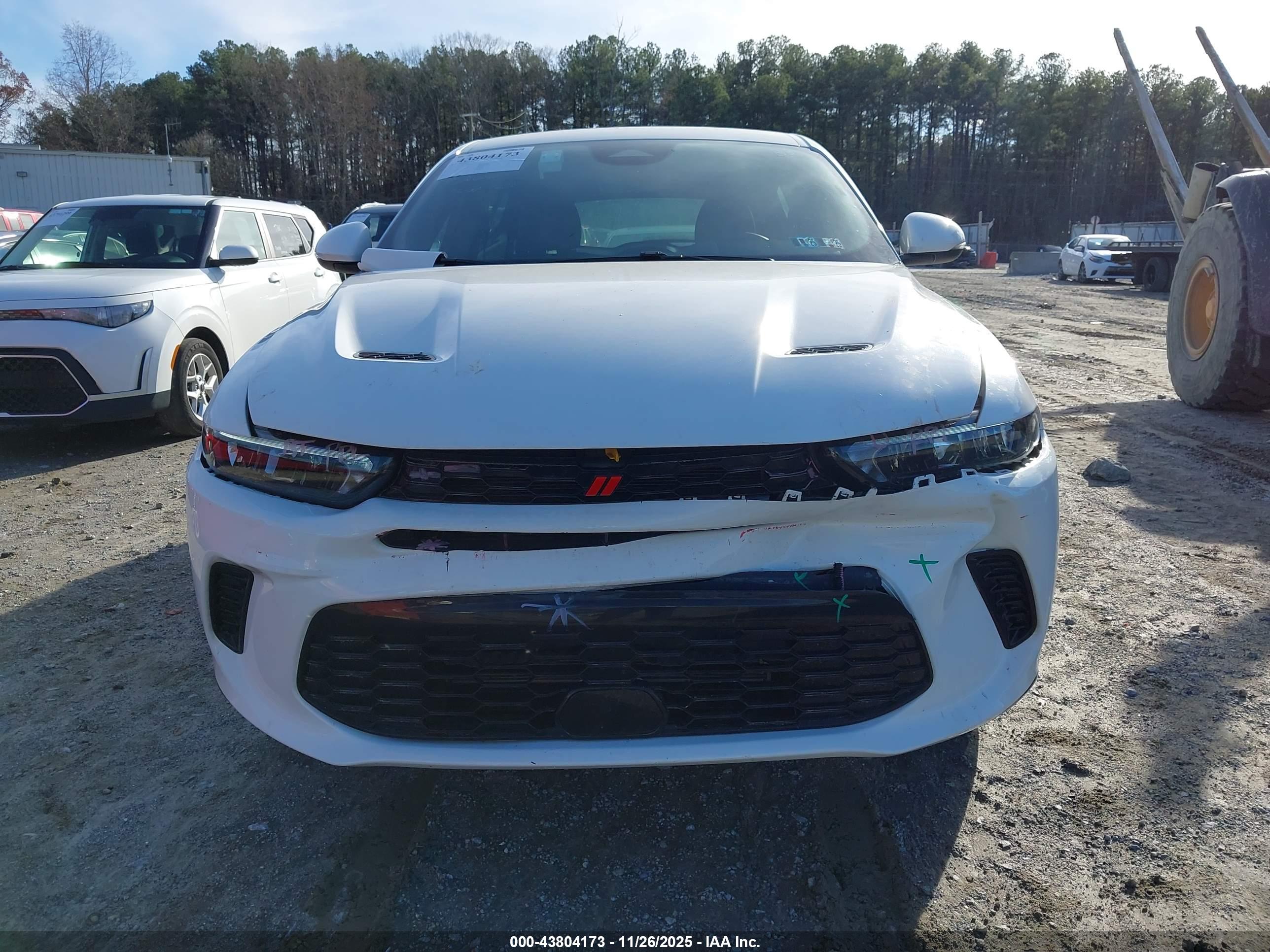 DODGE HORNET image 6