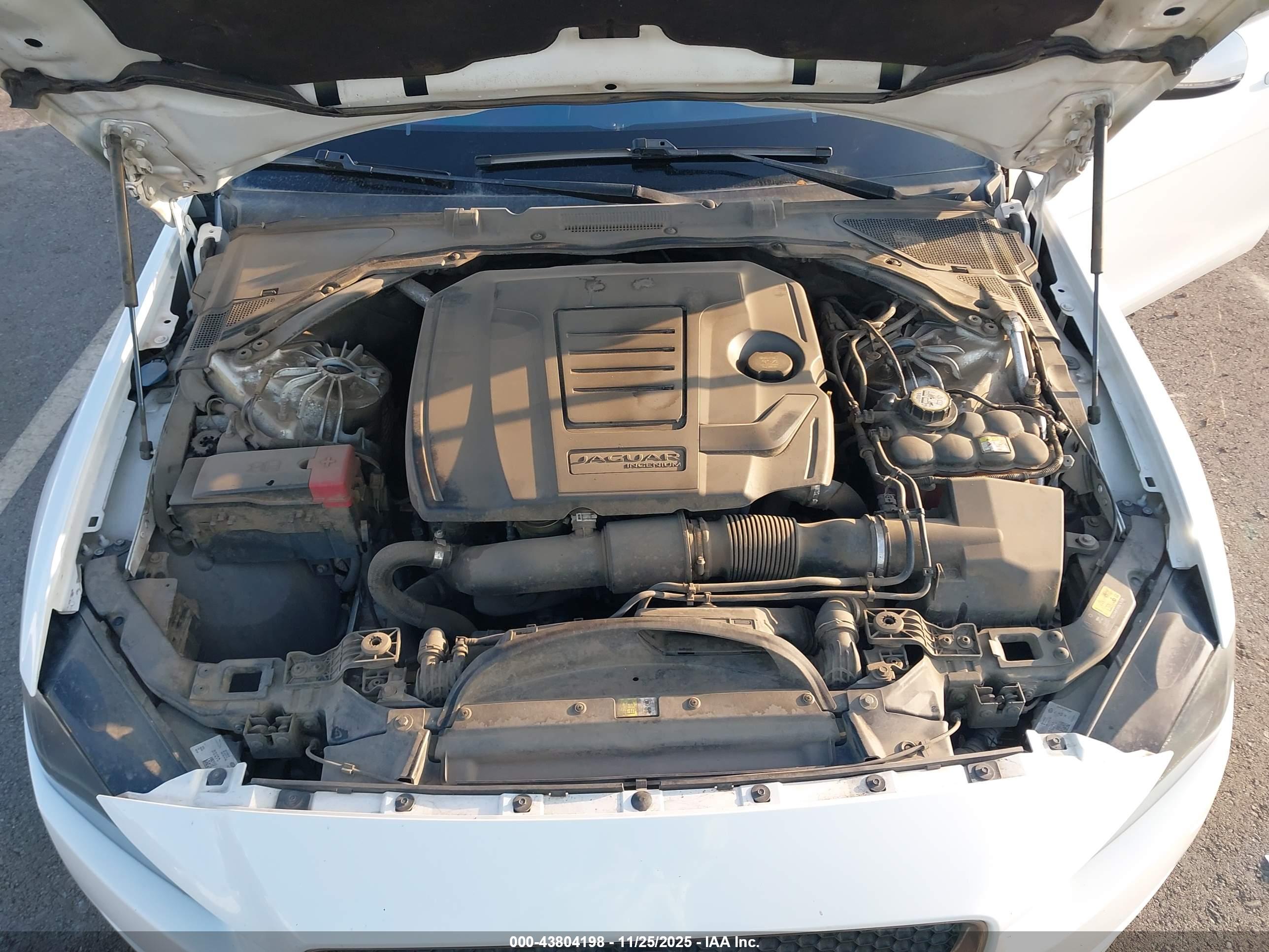 JAGUAR XE image 10