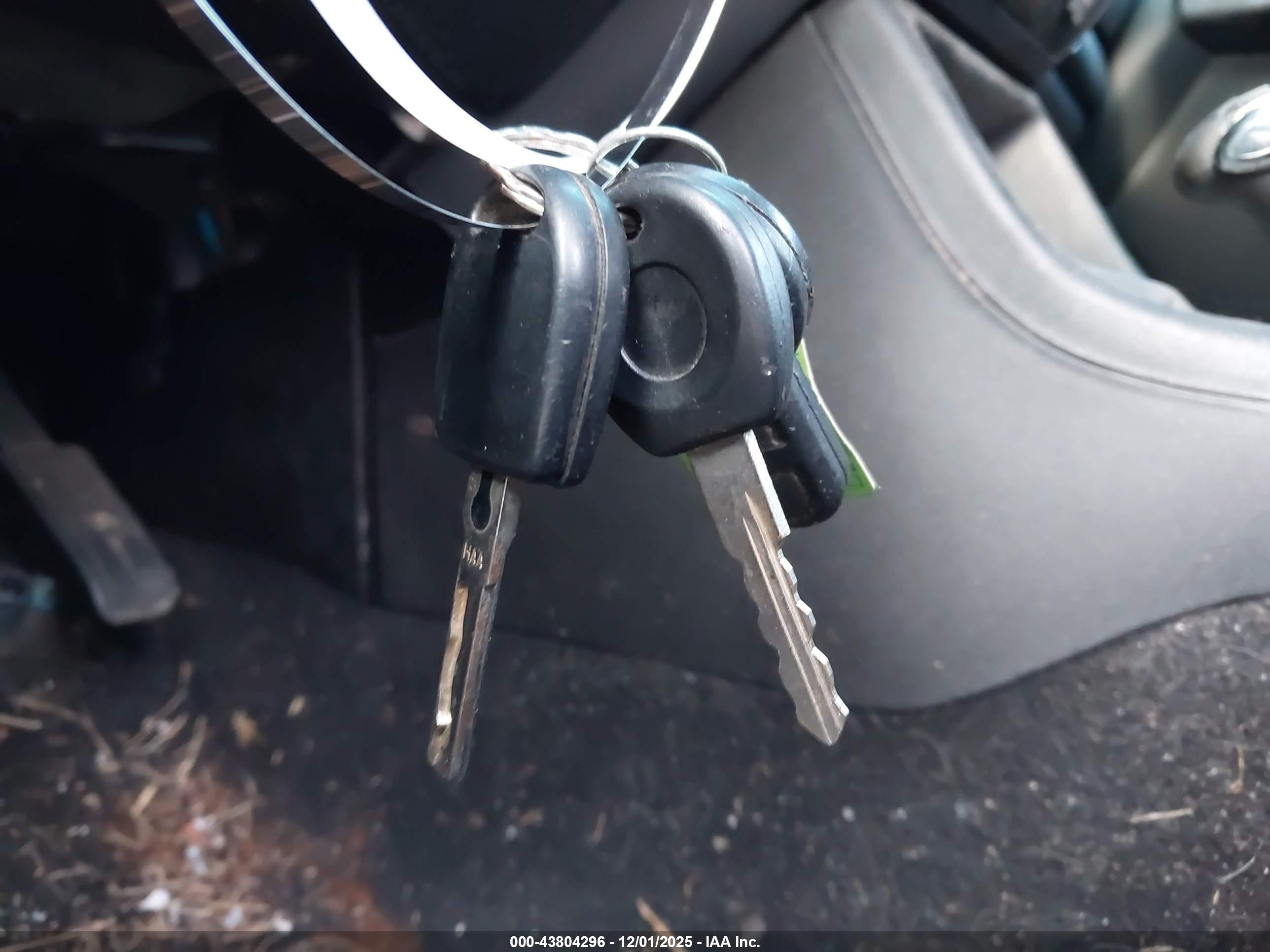 VOLKSWAGEN CABRIO image 11