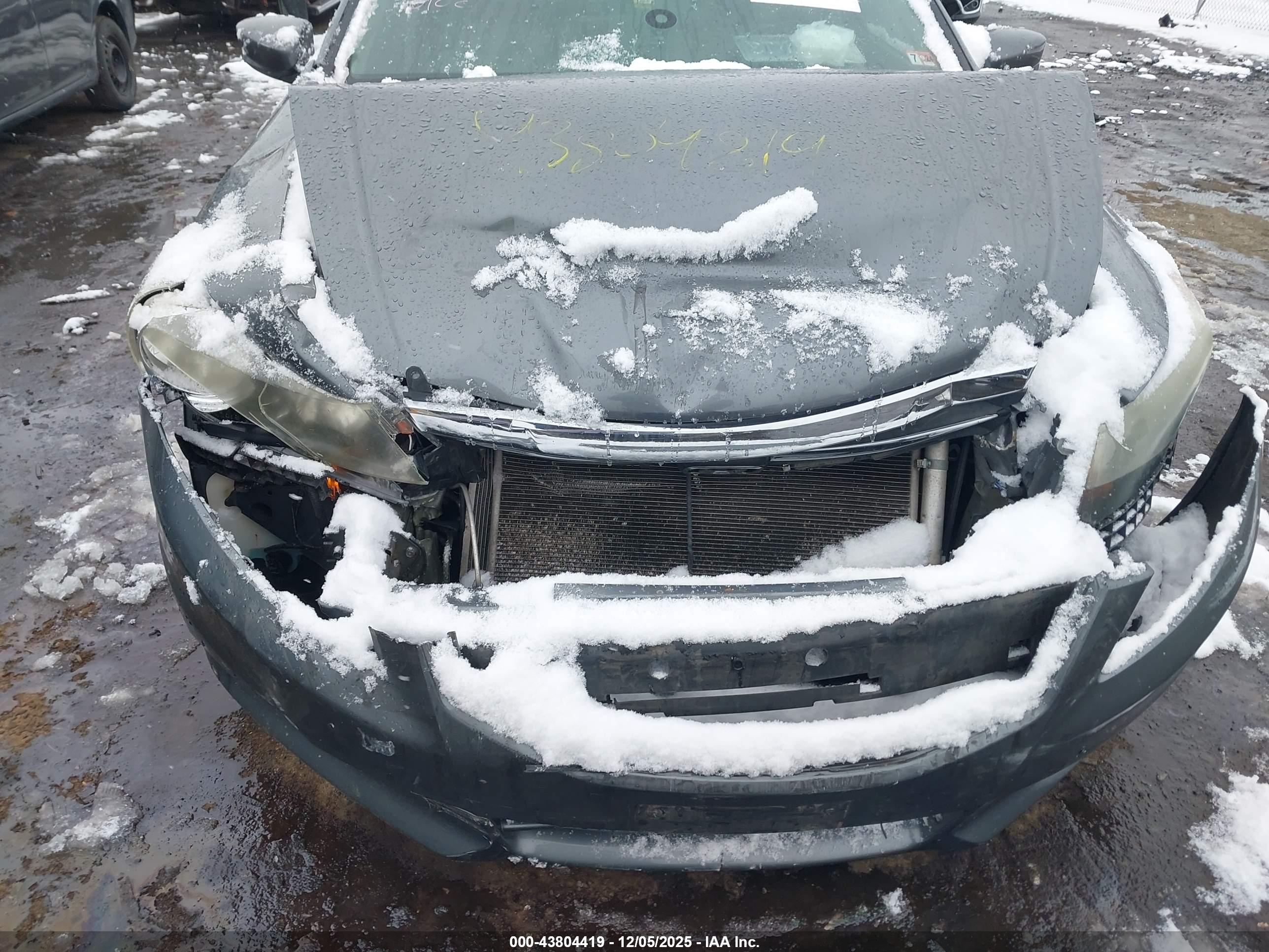 HONDA ACCORD image 6