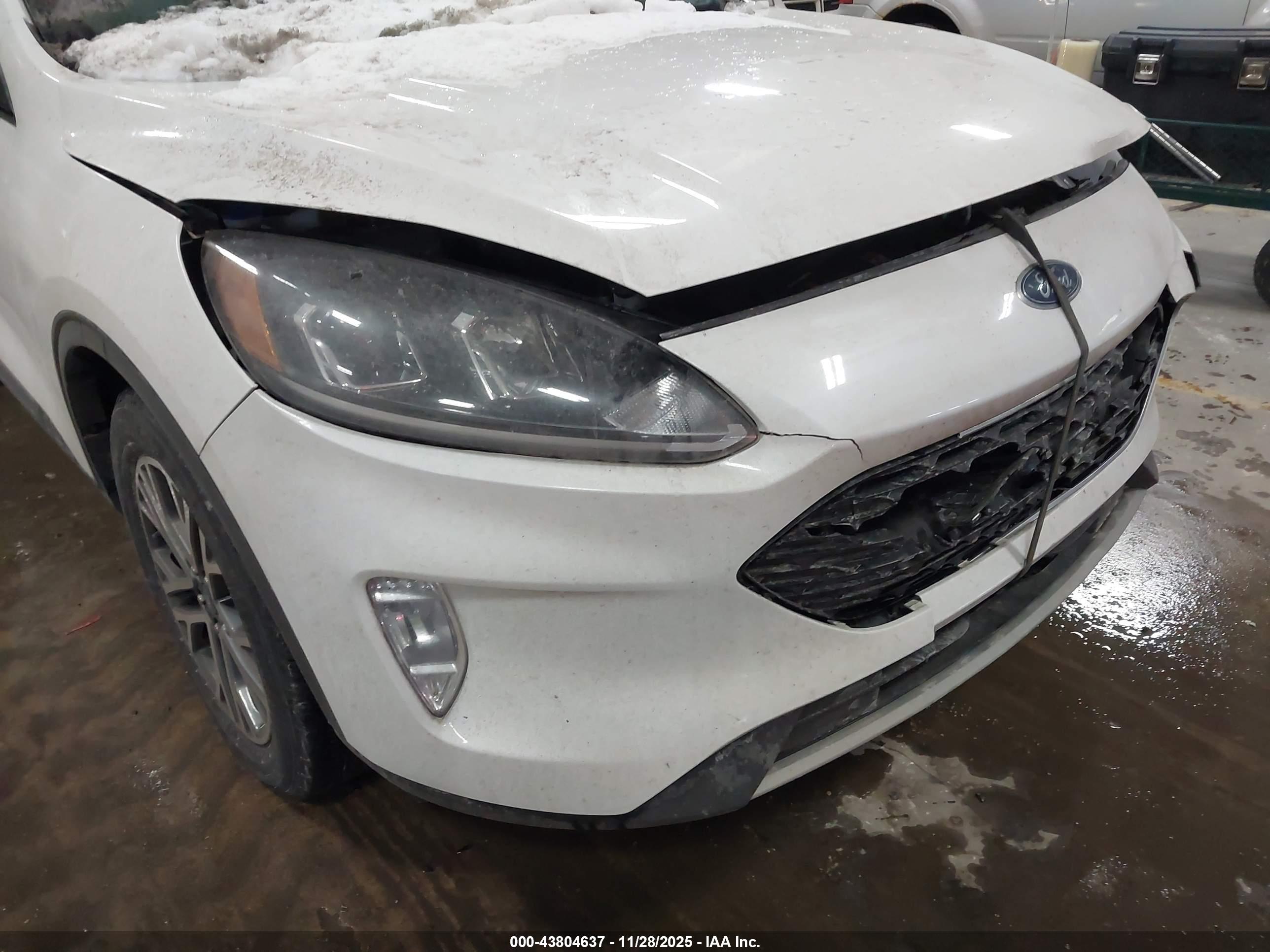 FORD ESCAPE image 6