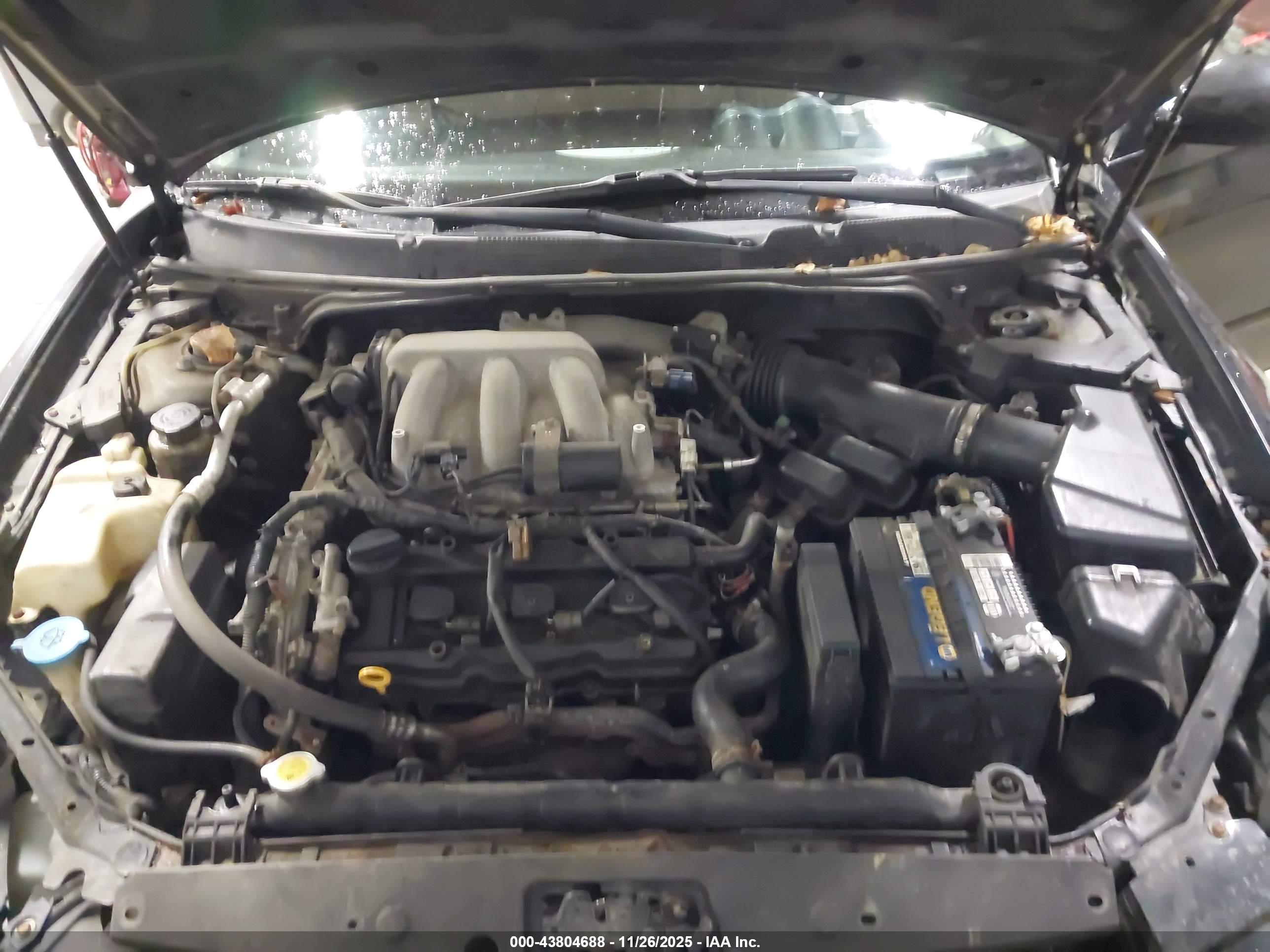 NISSAN MAXIMA image 10