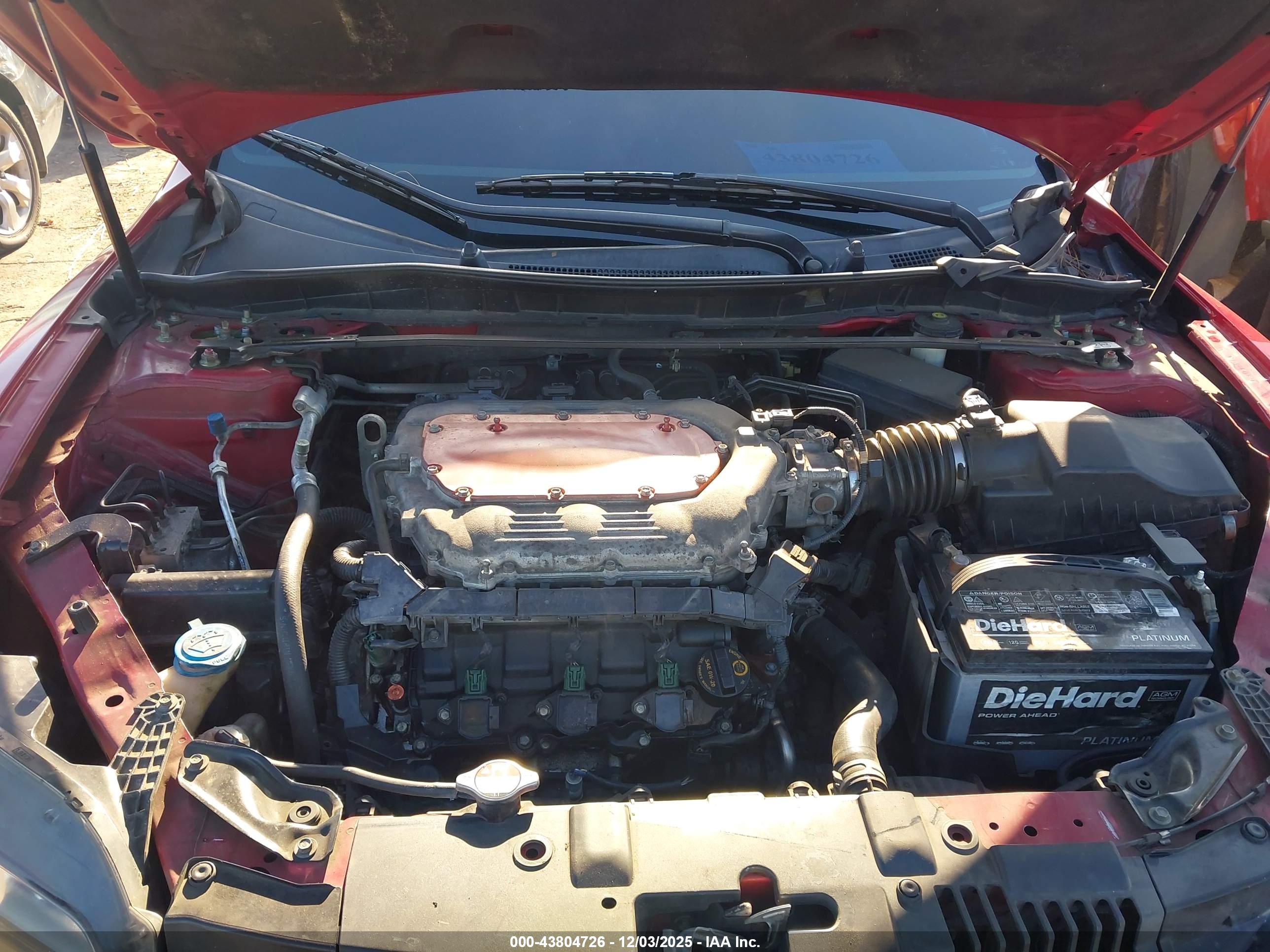 HONDA ACCORD image 10