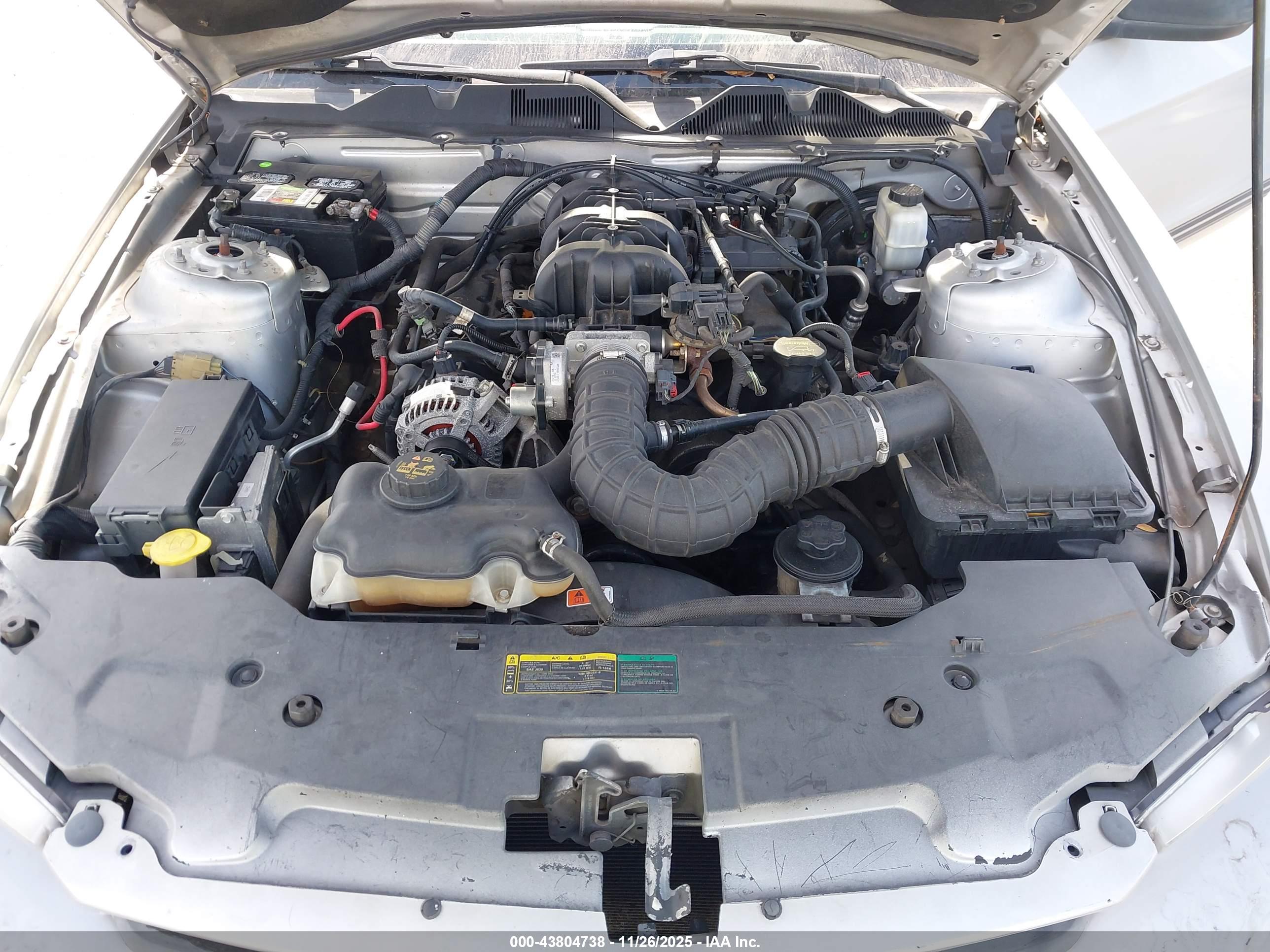 FORD MUSTANG image 10